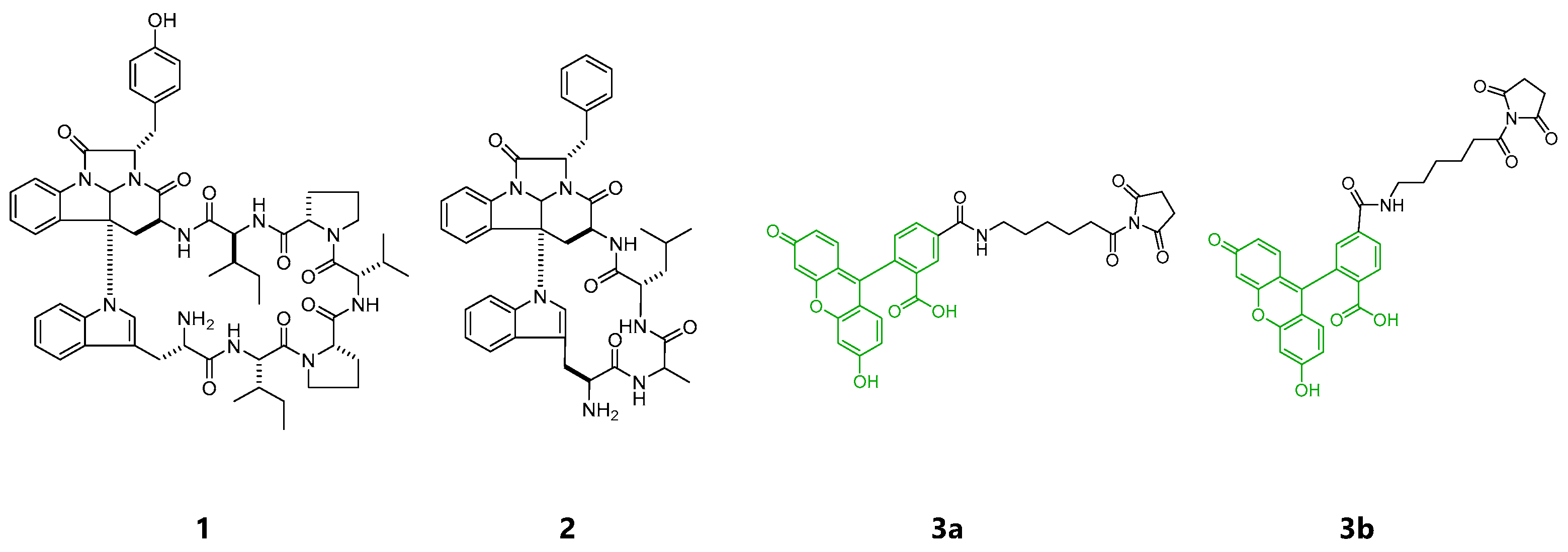 Marinedrugs 19 00076 g001 Marinedrugs 19 00076 g001