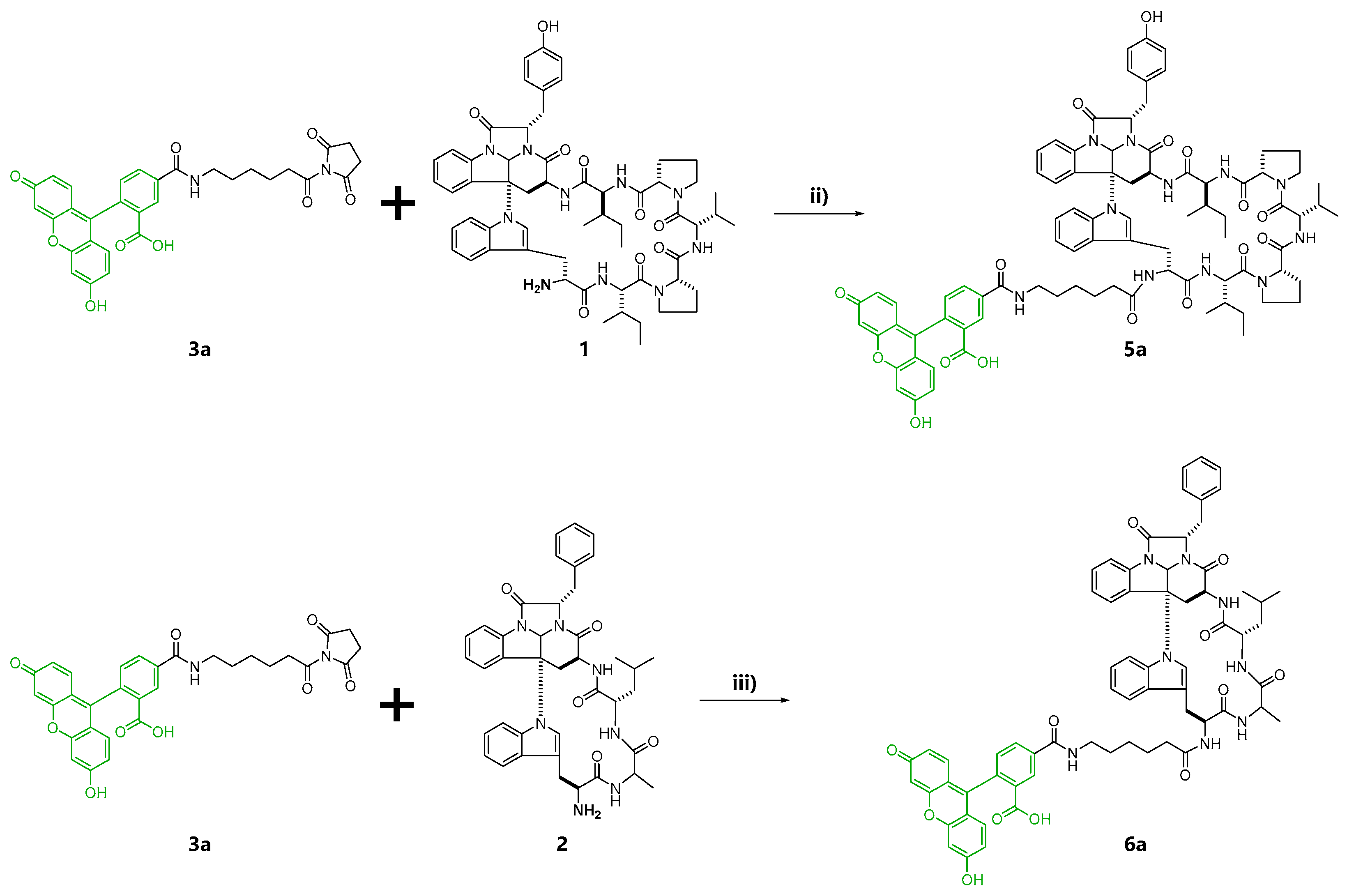 Marinedrugs 19 00076 sch001b Marinedrugs 19 00076 sch001b