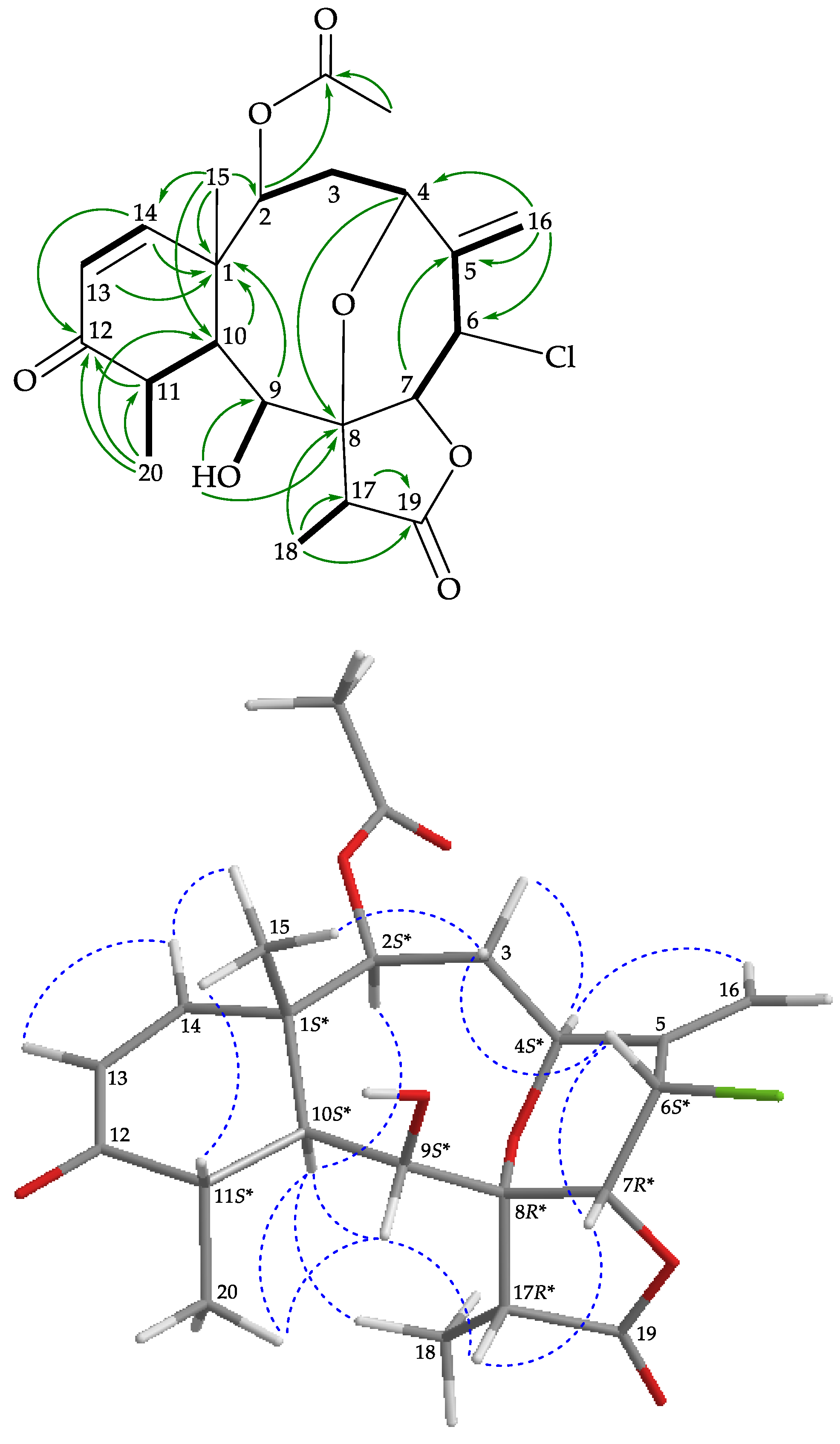 Marinedrugs 19 00077 g002