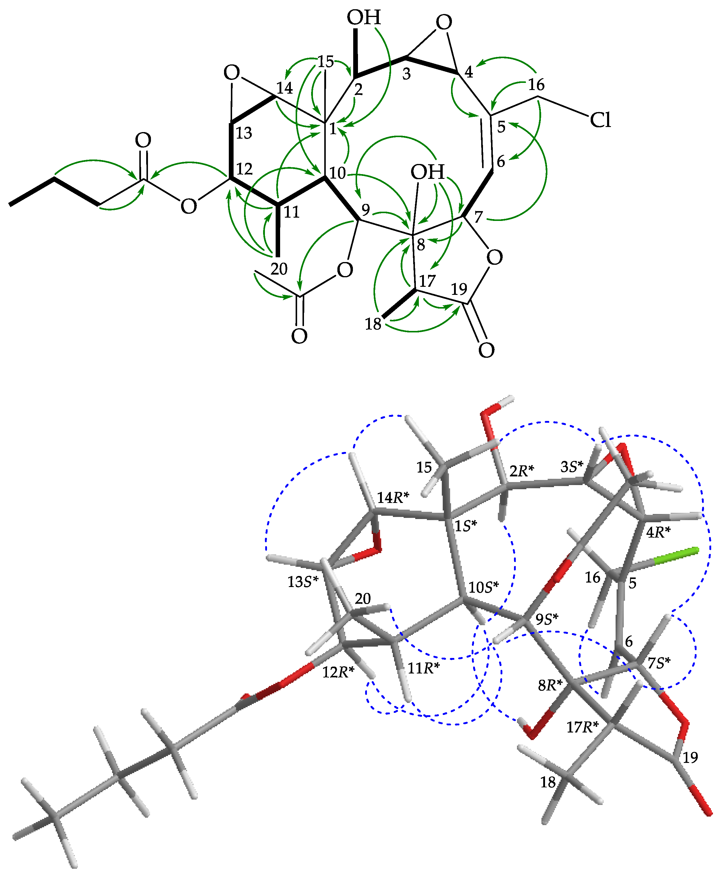 Marinedrugs 19 00077 g004