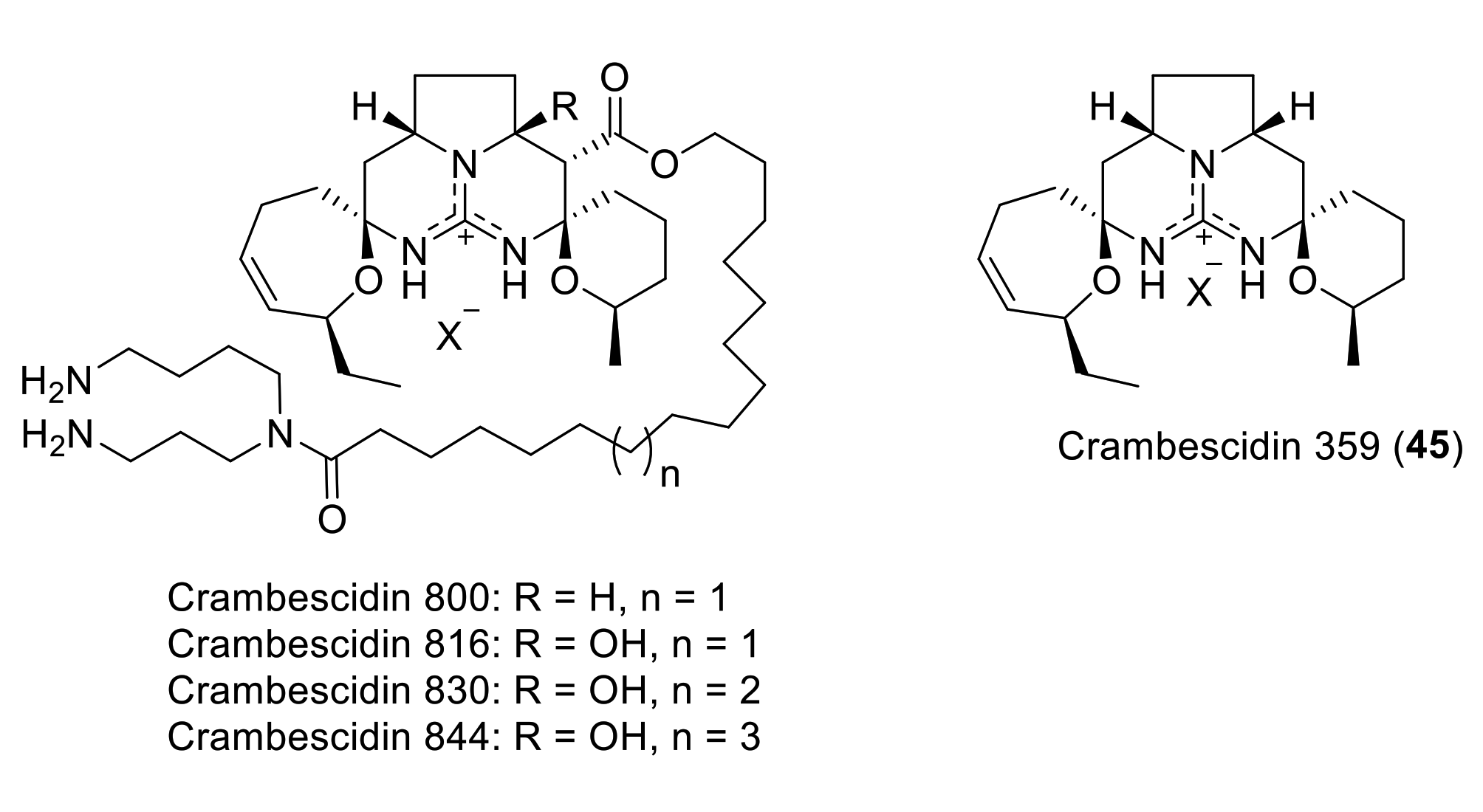 Marinedrugs 19 00078 g006 Marinedrugs 19 00078 g006