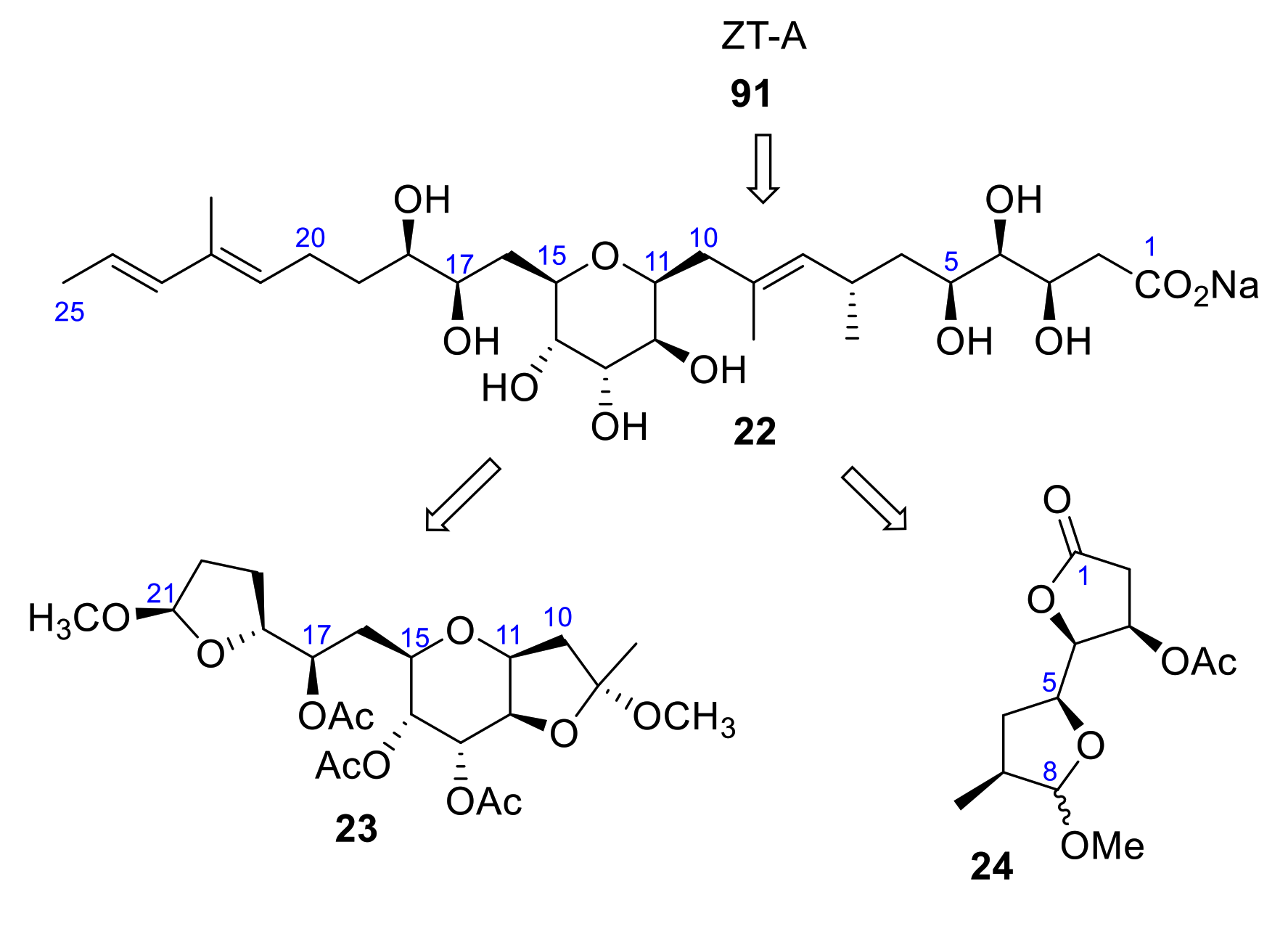 Marinedrugs 19 00078 sch007 Marinedrugs 19 00078 sch007