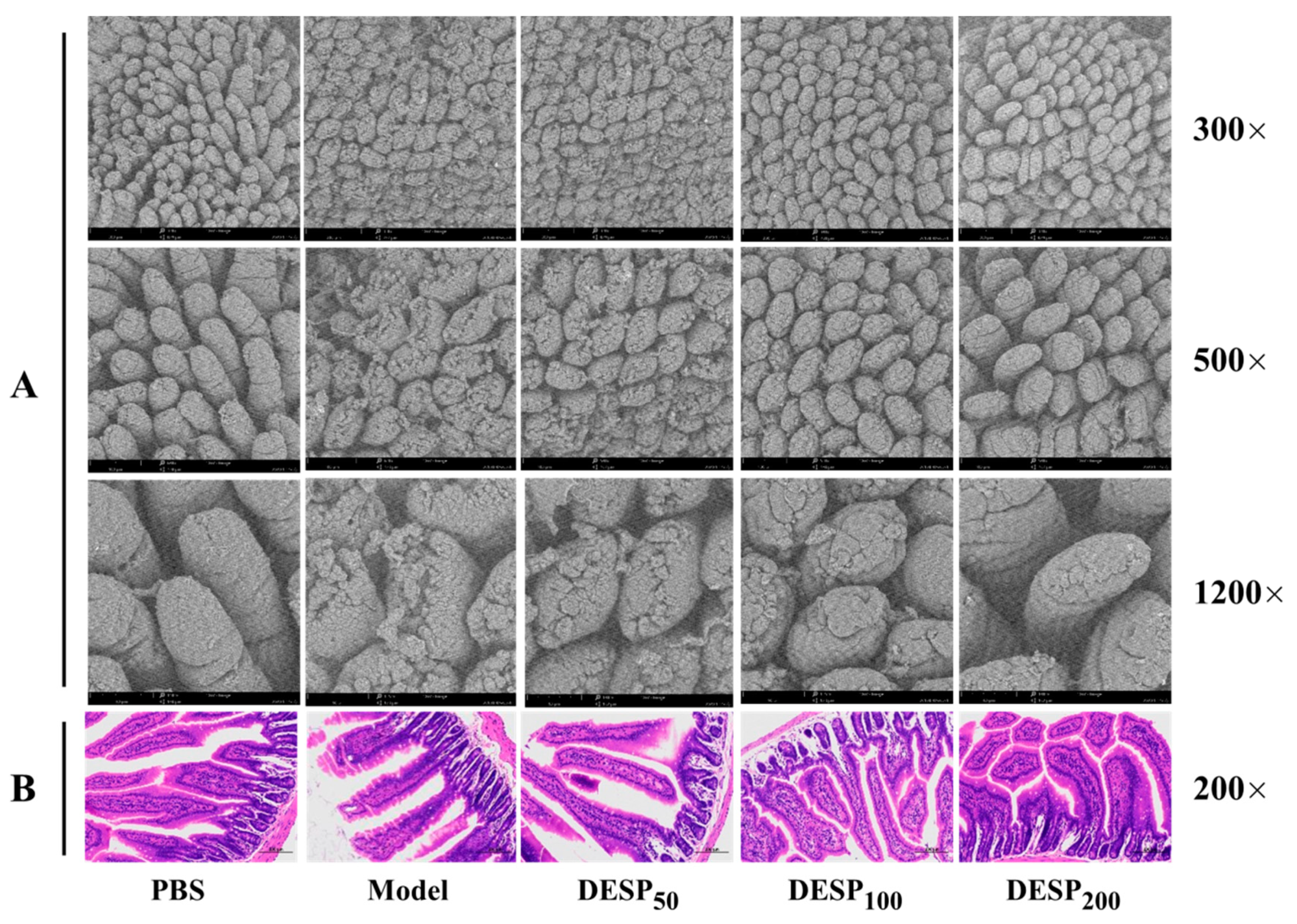 Marinedrugs 19 00080 g002 Marinedrugs 19 00080 g002
