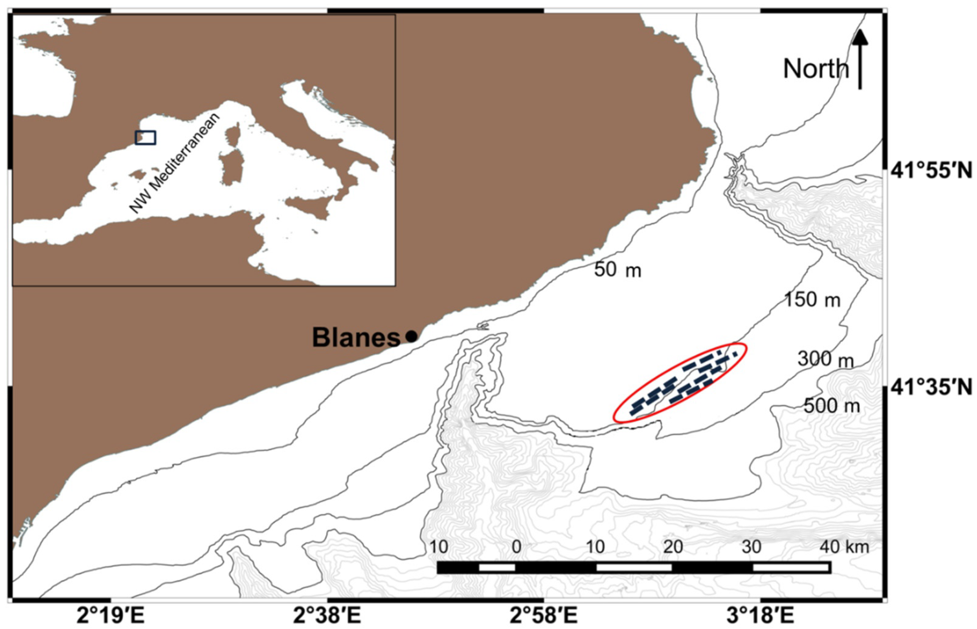 Marinedrugs 19 00083 g001 Marinedrugs 19 00083 g001