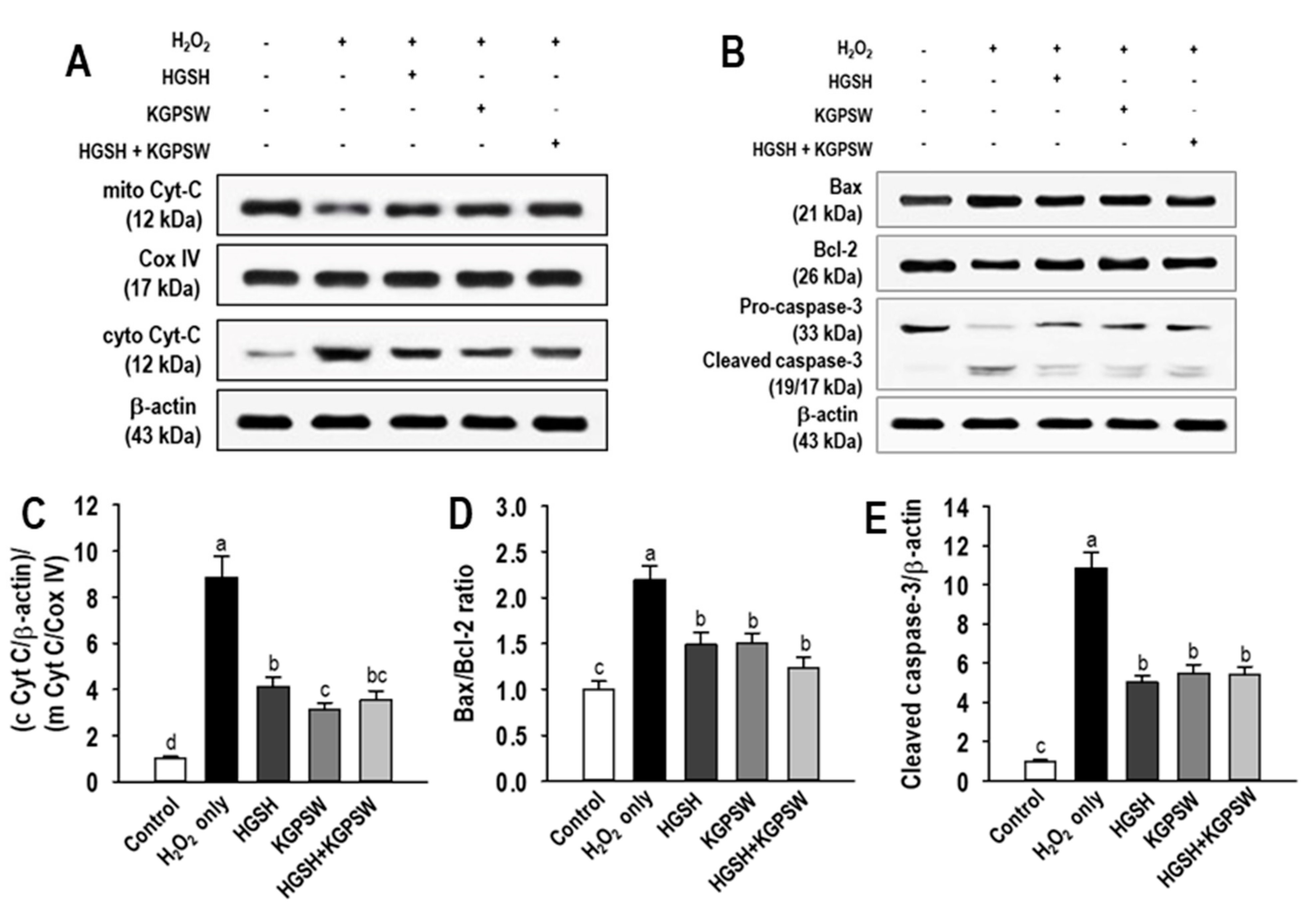 Marinedrugs 19 00086 g006 Marinedrugs 19 00086 g006