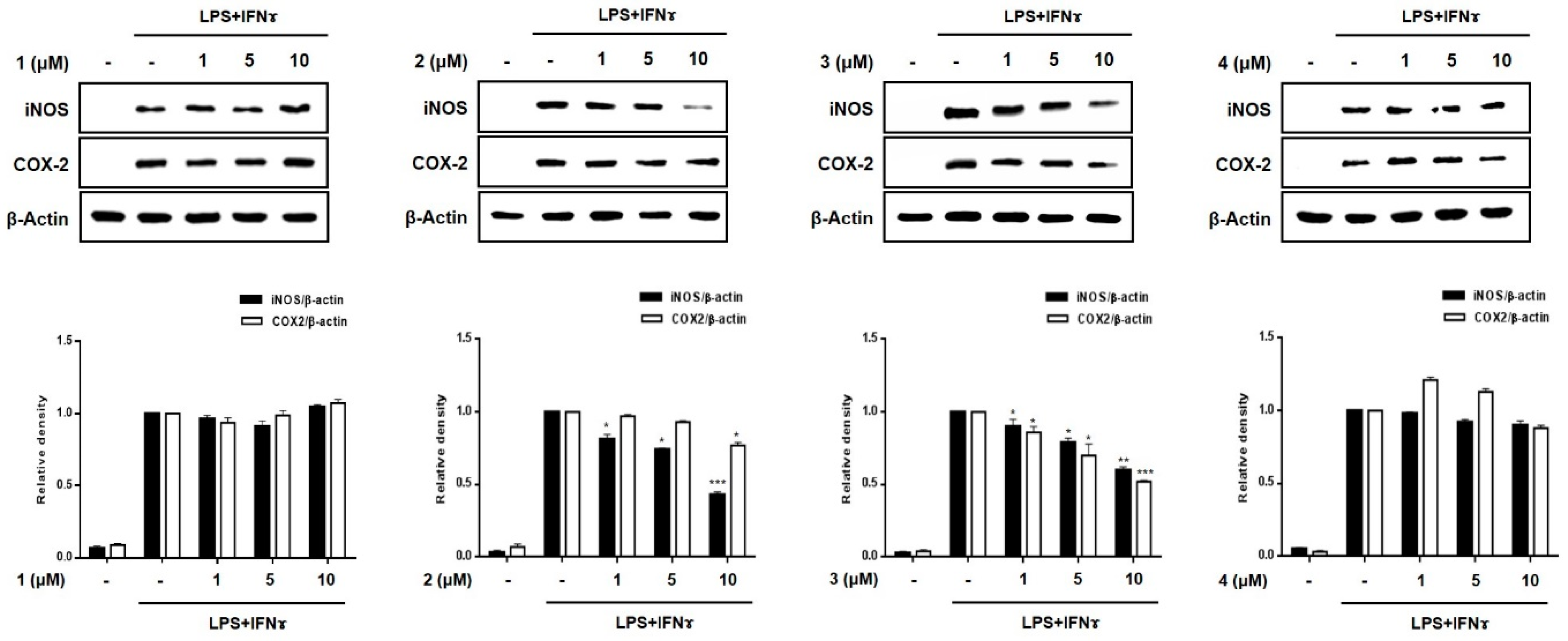 Marinedrugs 19 00090 g005a Marinedrugs 19 00090 g005a