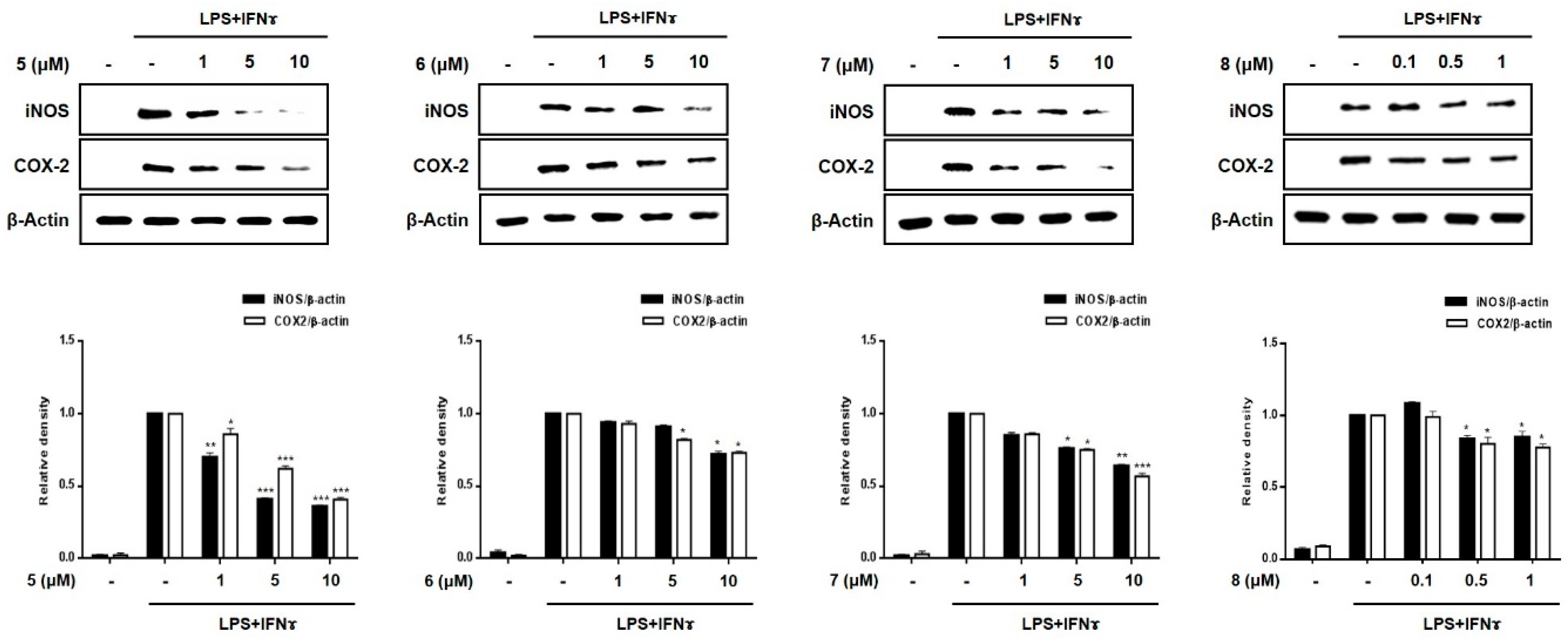 Marinedrugs 19 00090 g005b Marinedrugs 19 00090 g005b