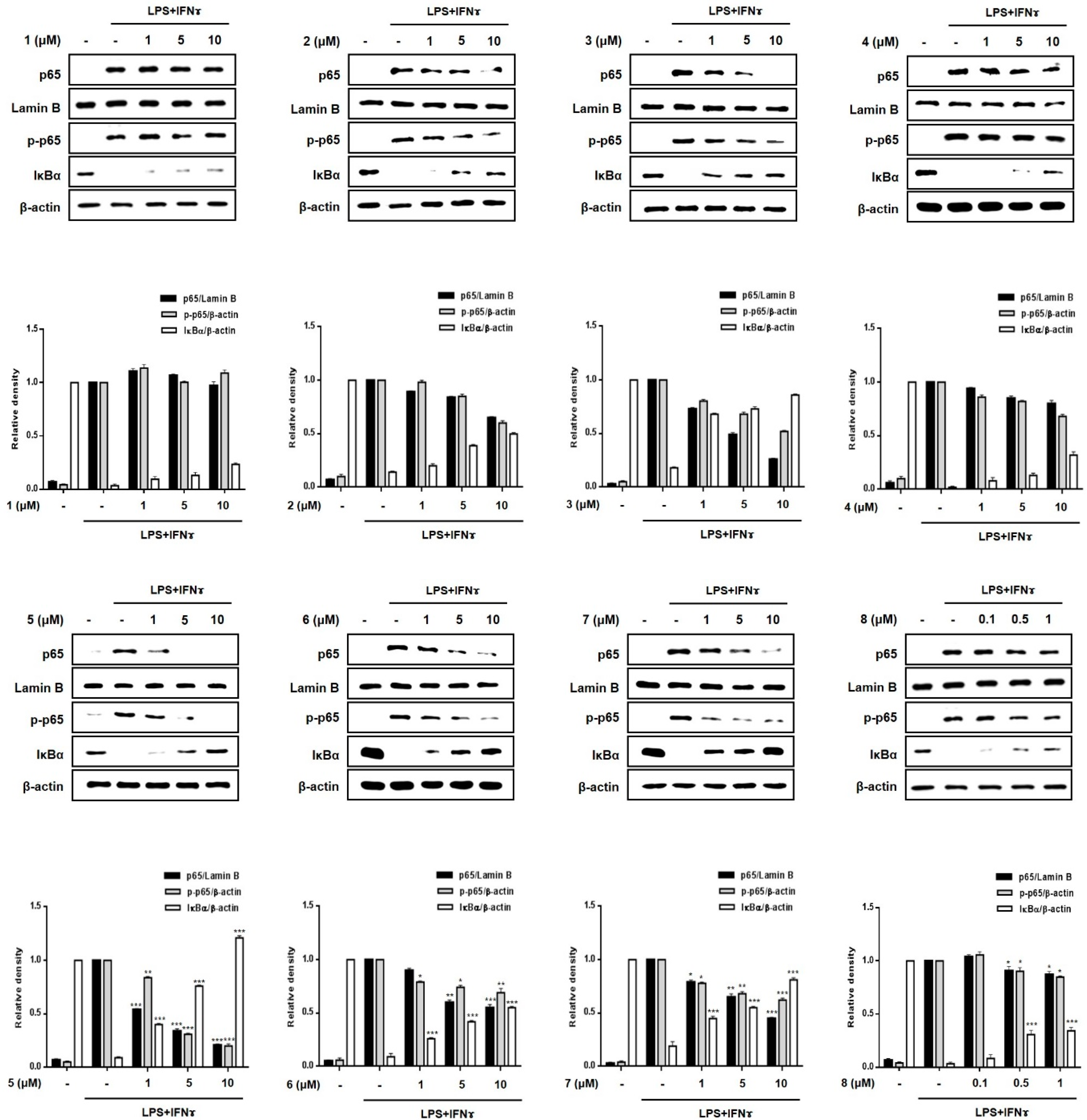 Marinedrugs 19 00090 g007 Marinedrugs 19 00090 g007