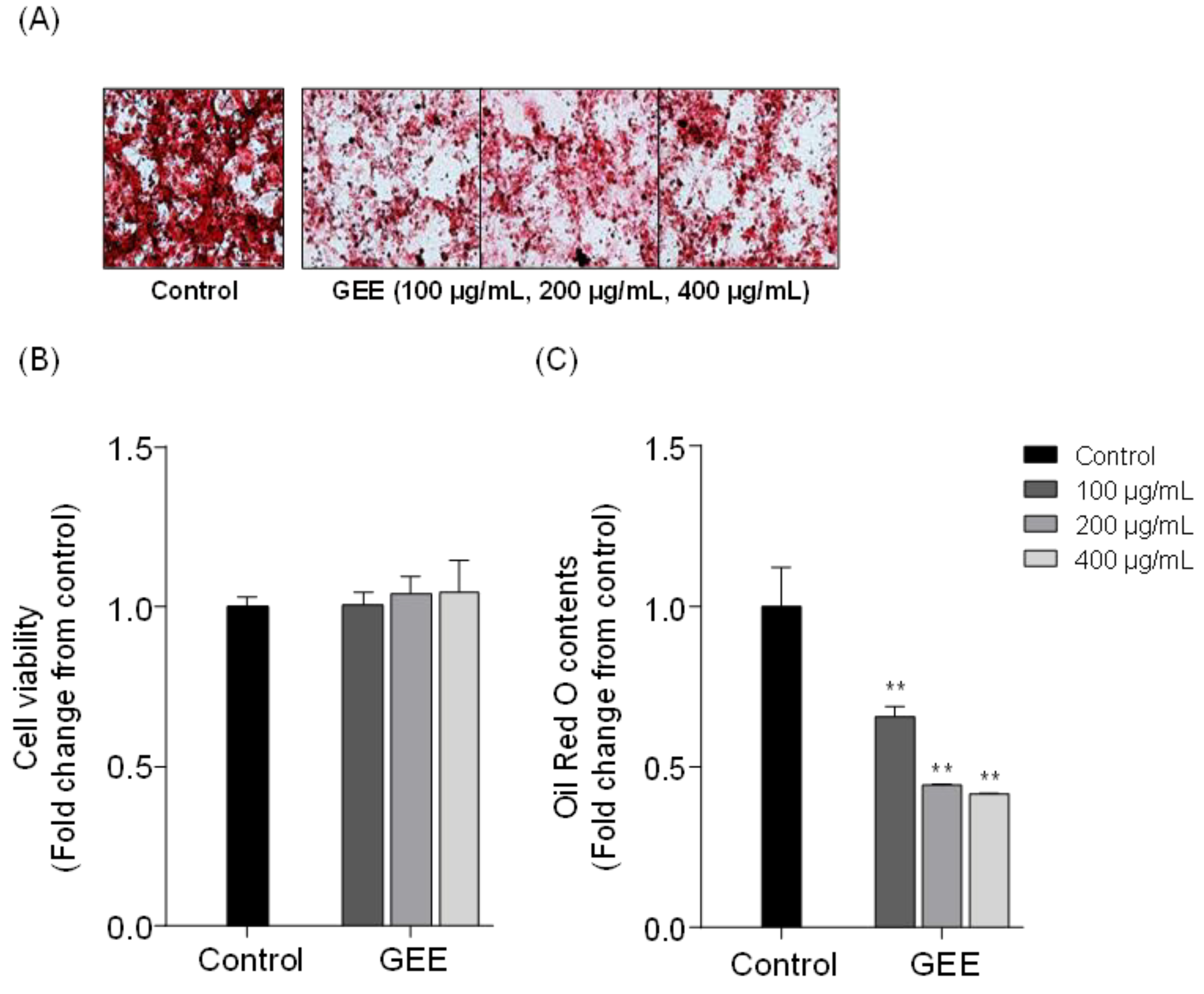 Marinedrugs 19 00091 g002 Marinedrugs 19 00091 g002