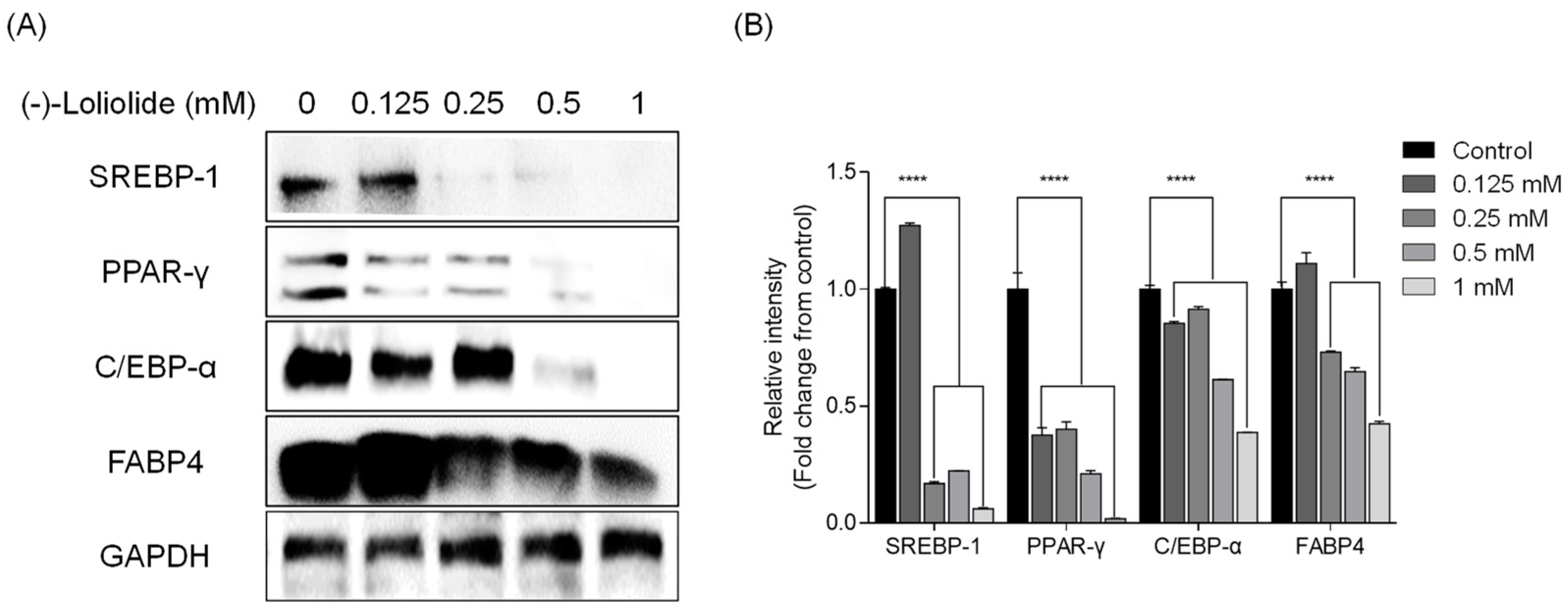 Marinedrugs 19 00096 g002 Marinedrugs 19 00096 g002