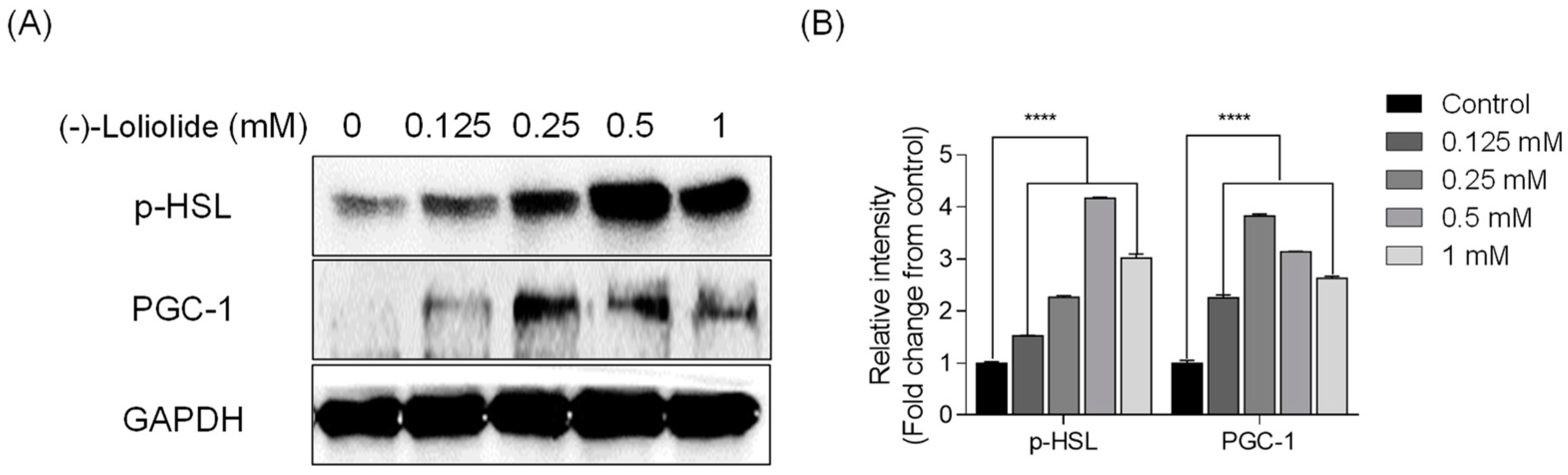 Marinedrugs 19 00096 g003 Marinedrugs 19 00096 g003