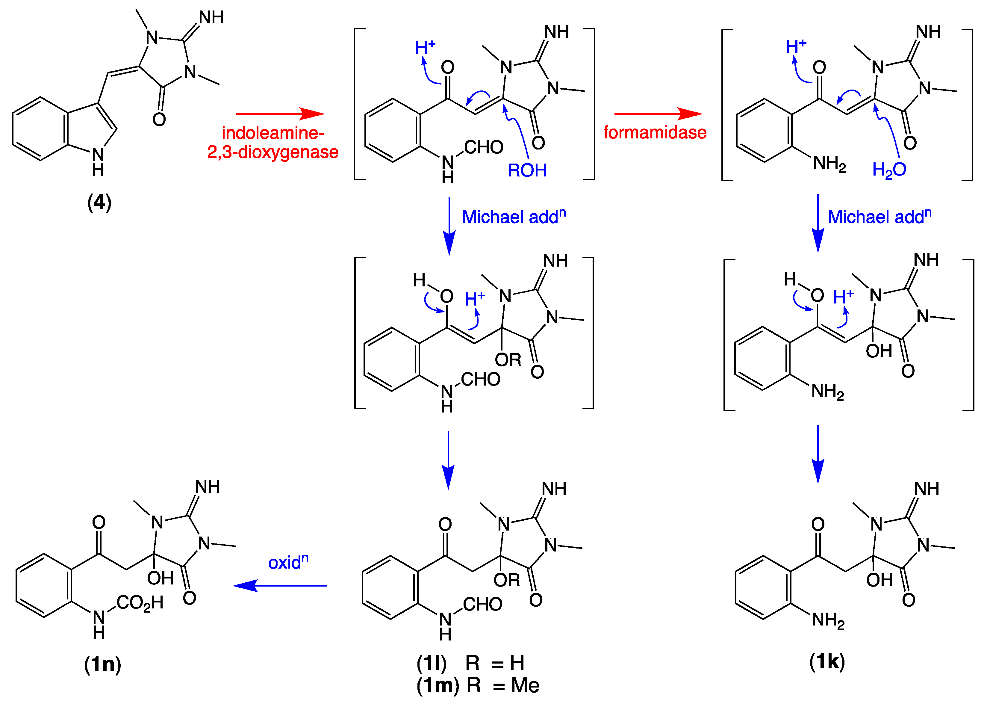 Marinedrugs 19 00097 sch007 Marinedrugs 19 00097 sch007
