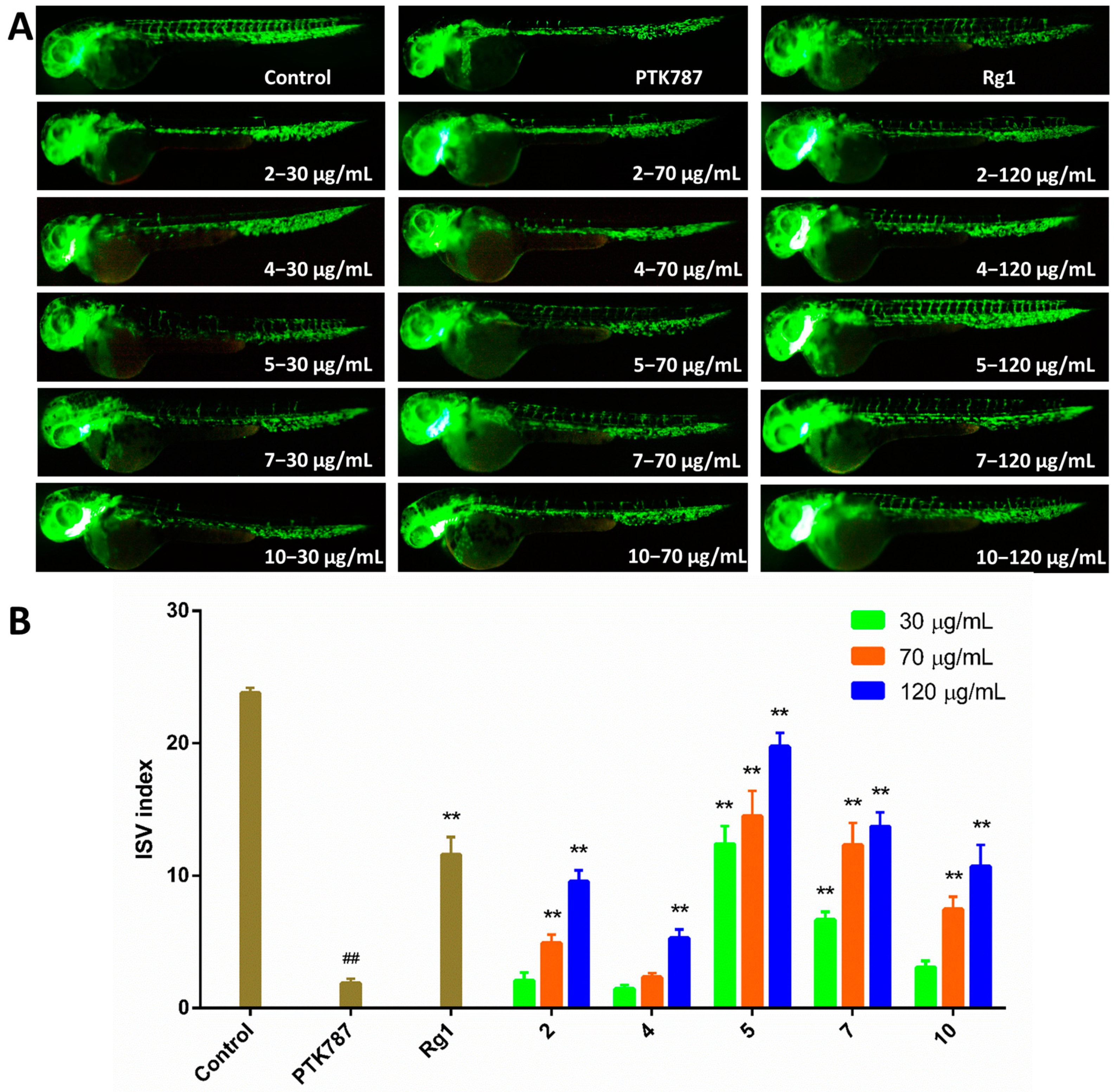Marinedrugs 19 00098 g004