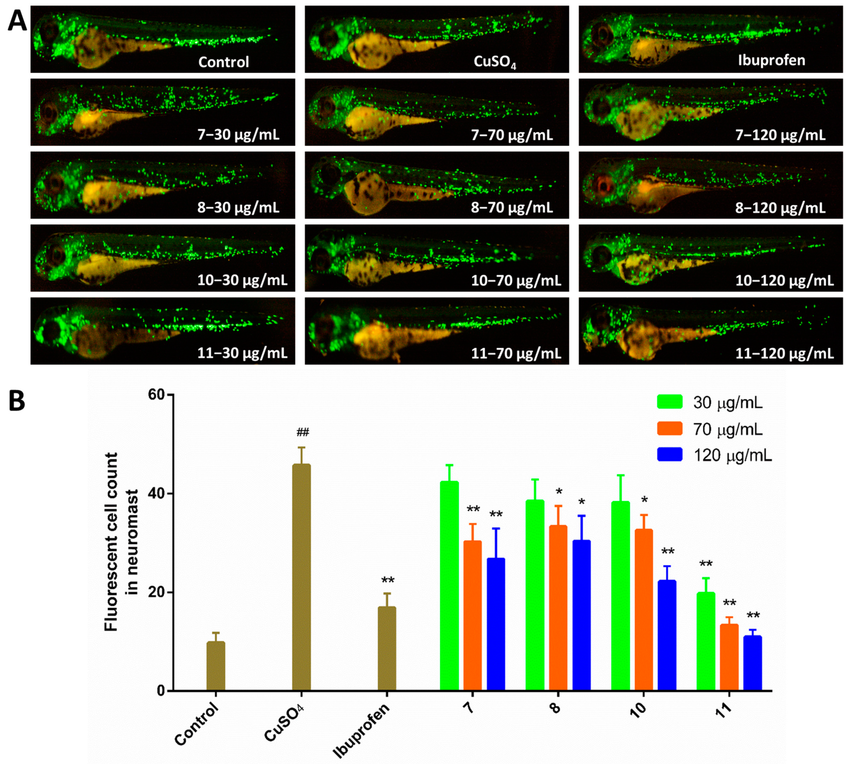 Marinedrugs 19 00098 g005