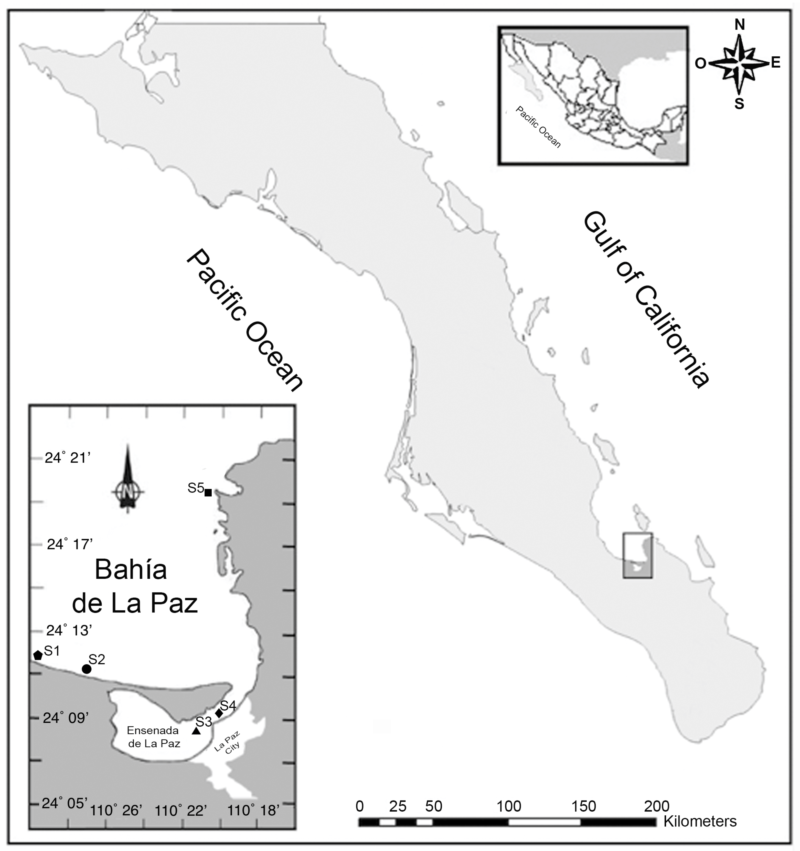 Marinedrugs 19 00099 g001