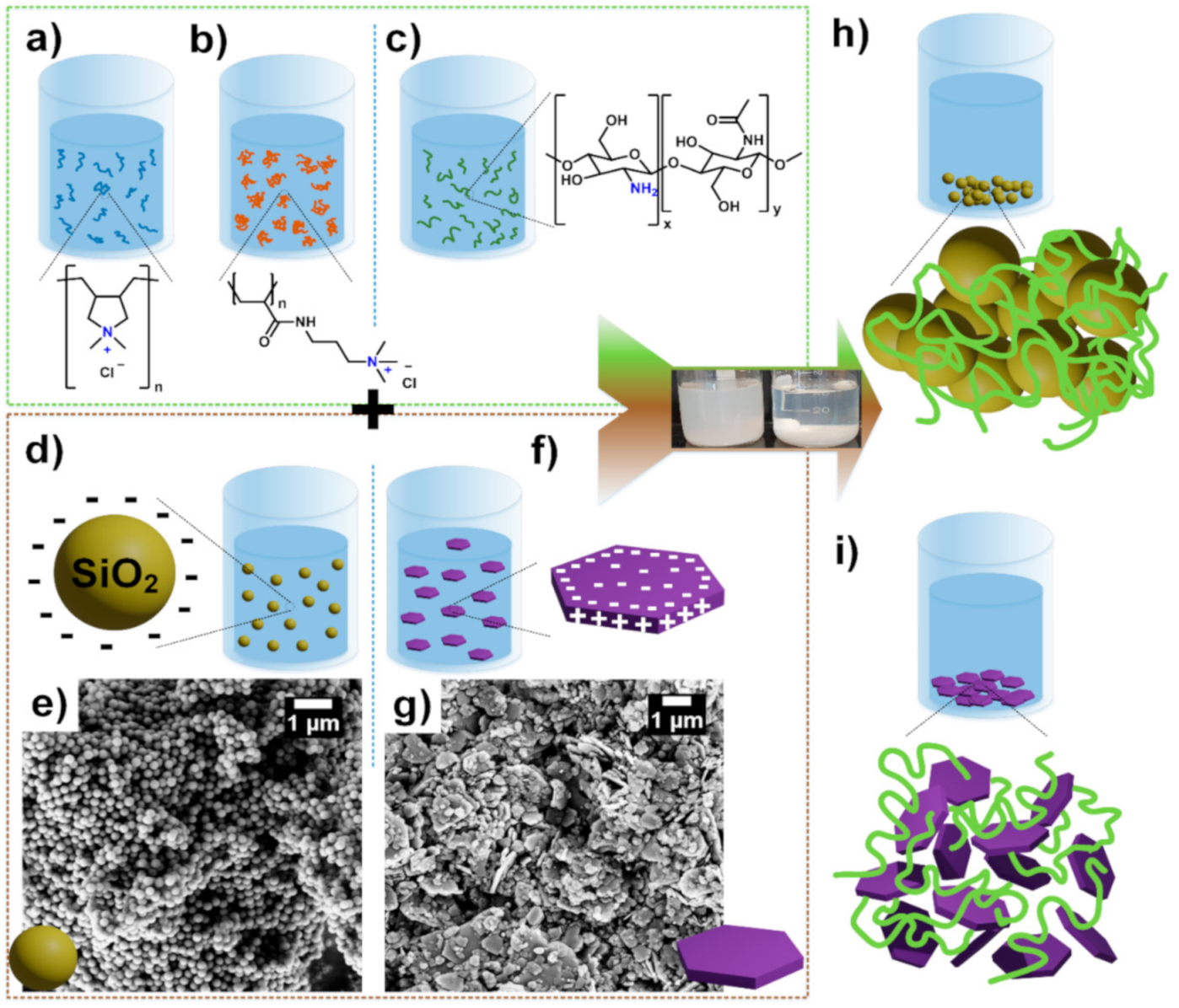 Marinedrugs 19 00102 sch001 Marinedrugs 19 00102 sch001