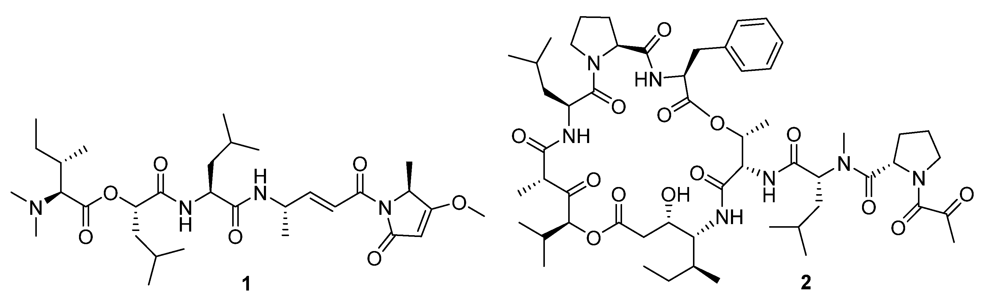 Marinedrugs 19 00104 g001