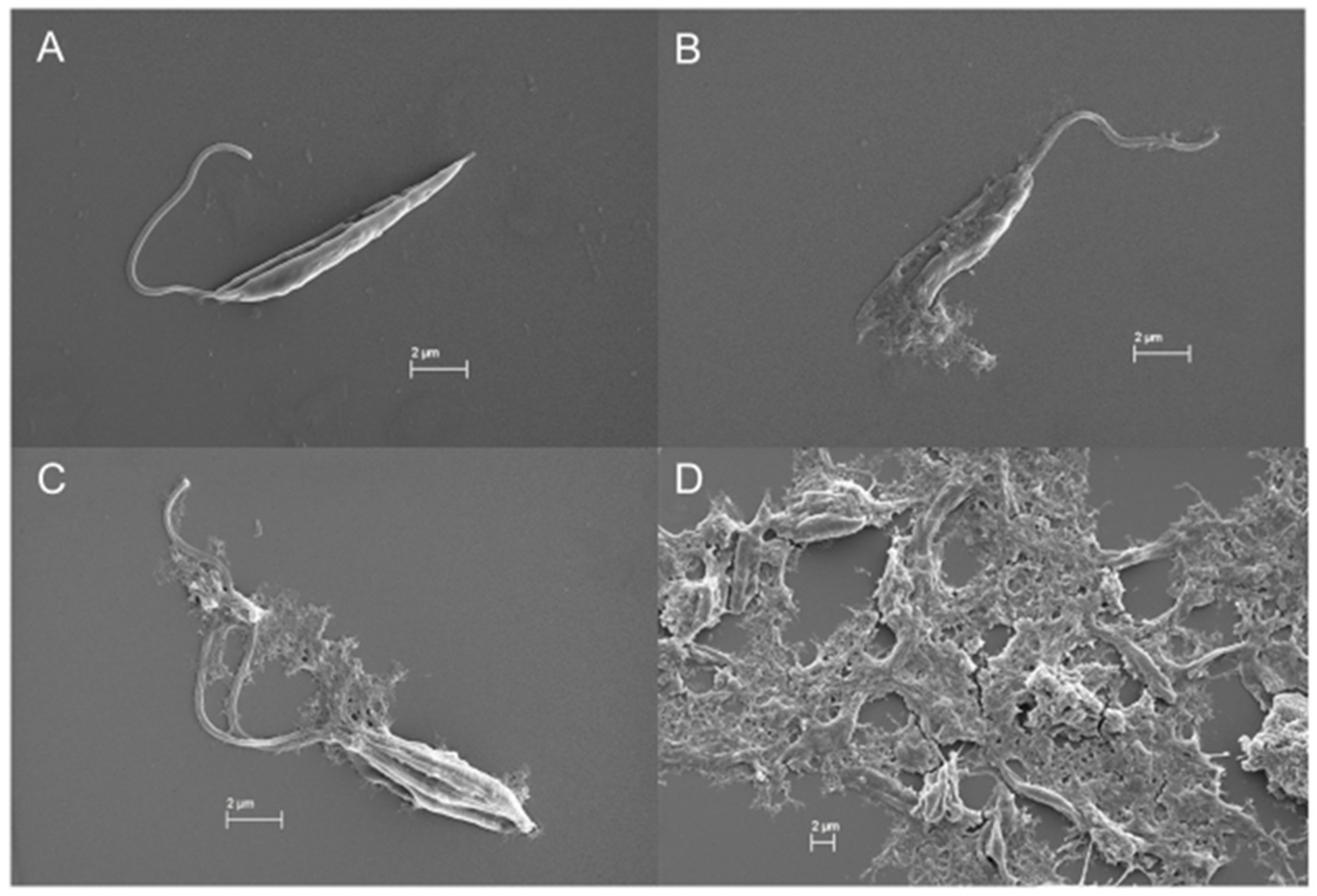 Marinedrugs 19 00110 g009 Marinedrugs 19 00110 g009