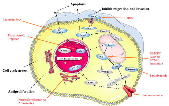 Marinedrugs 19 00115 g002 550