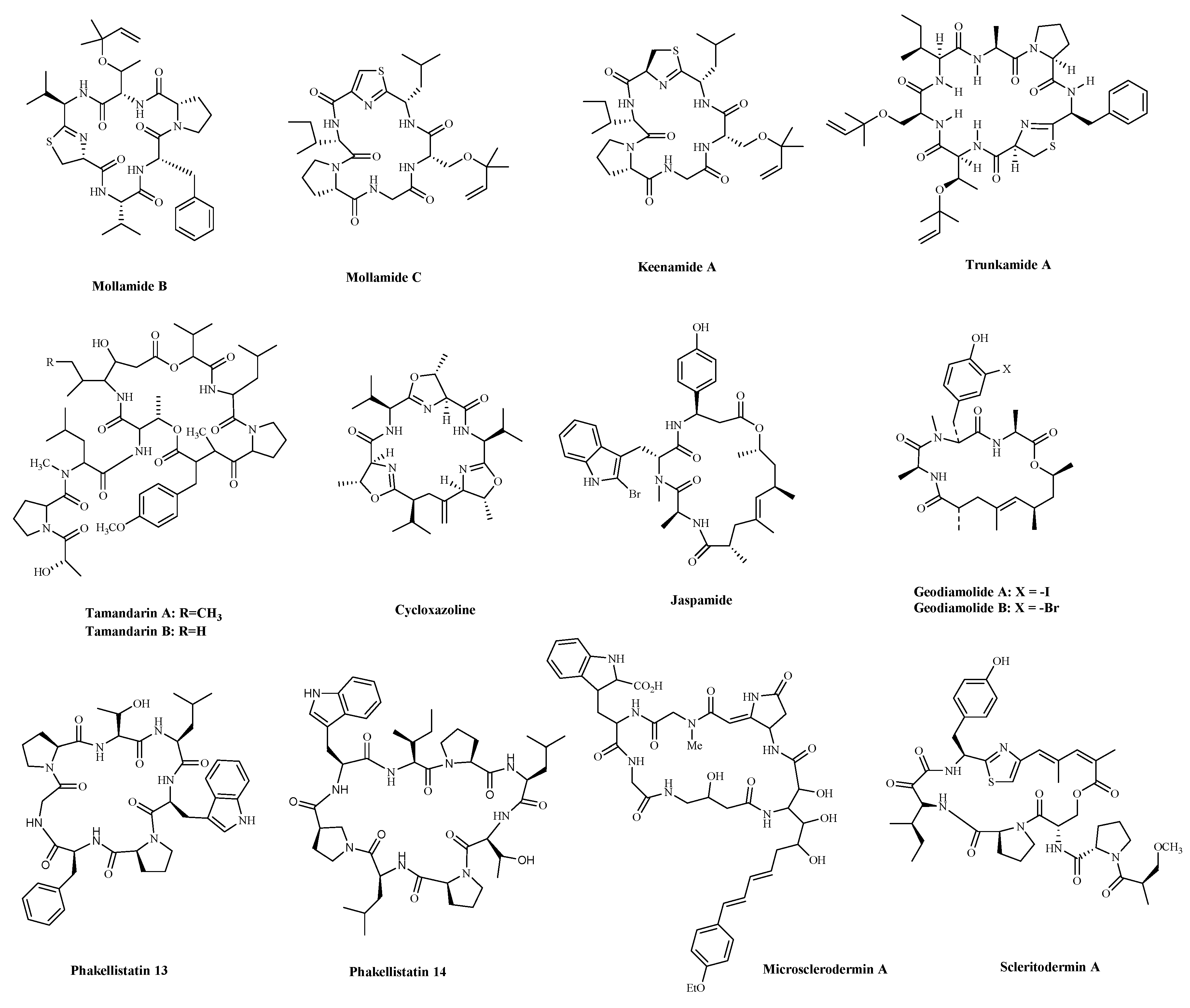 Marinedrugs 19 00115 g004 Marinedrugs 19 00115 g004
