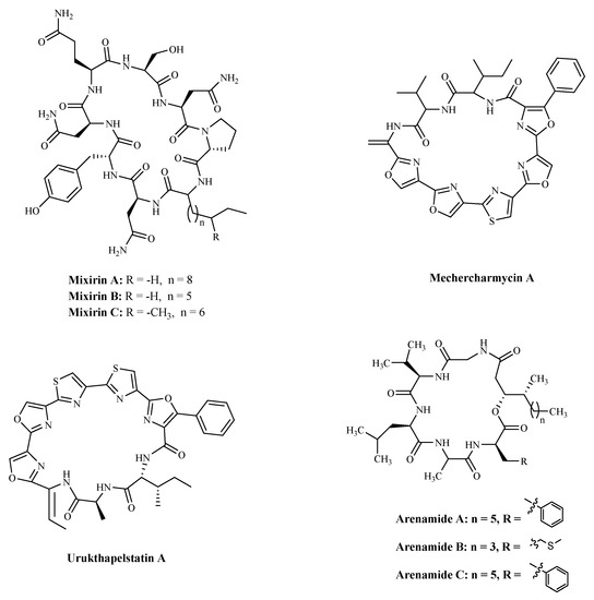 Marinedrugs 19 00115 g006 550