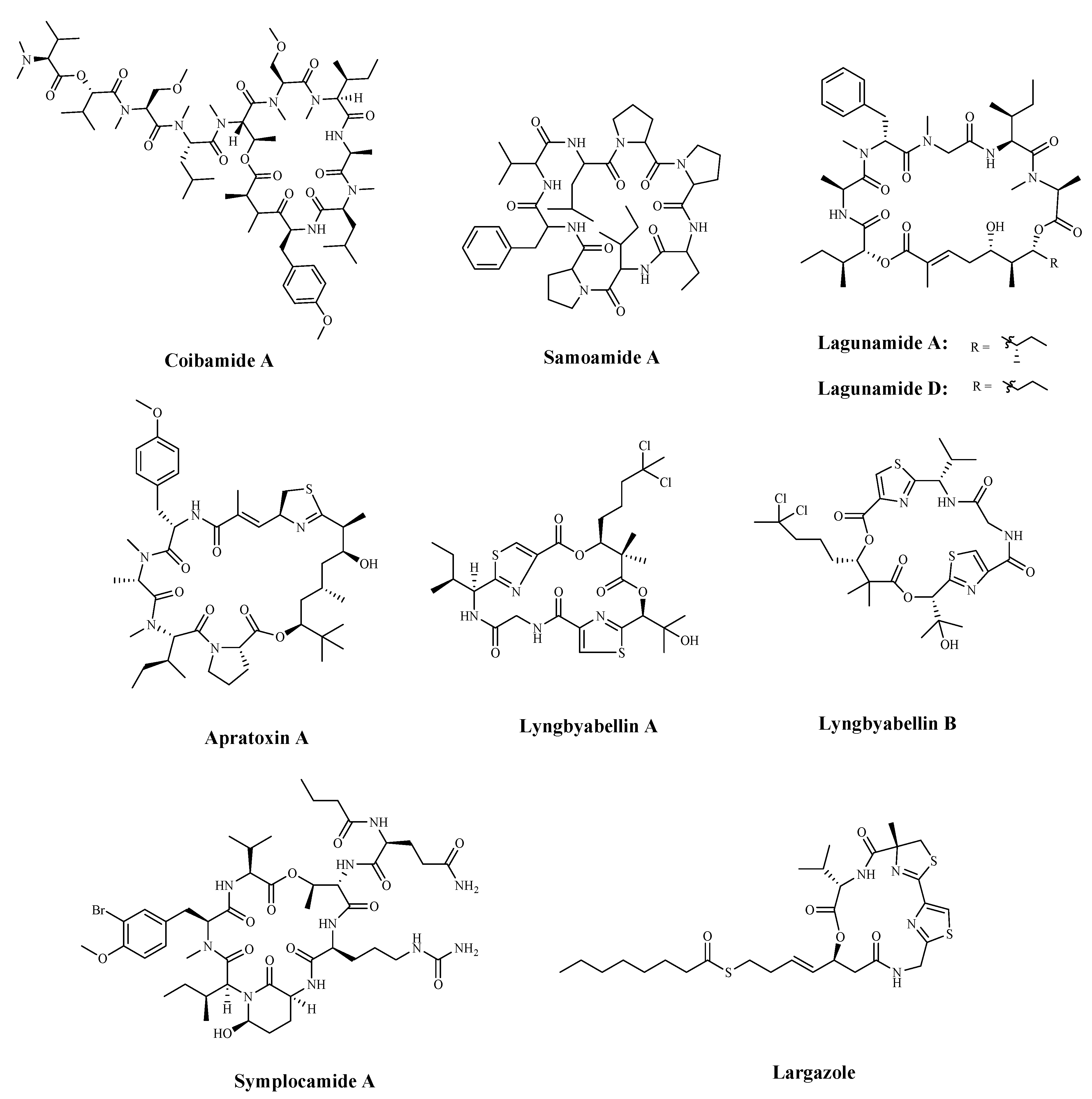 Marinedrugs 19 00115 g007 Marinedrugs 19 00115 g007