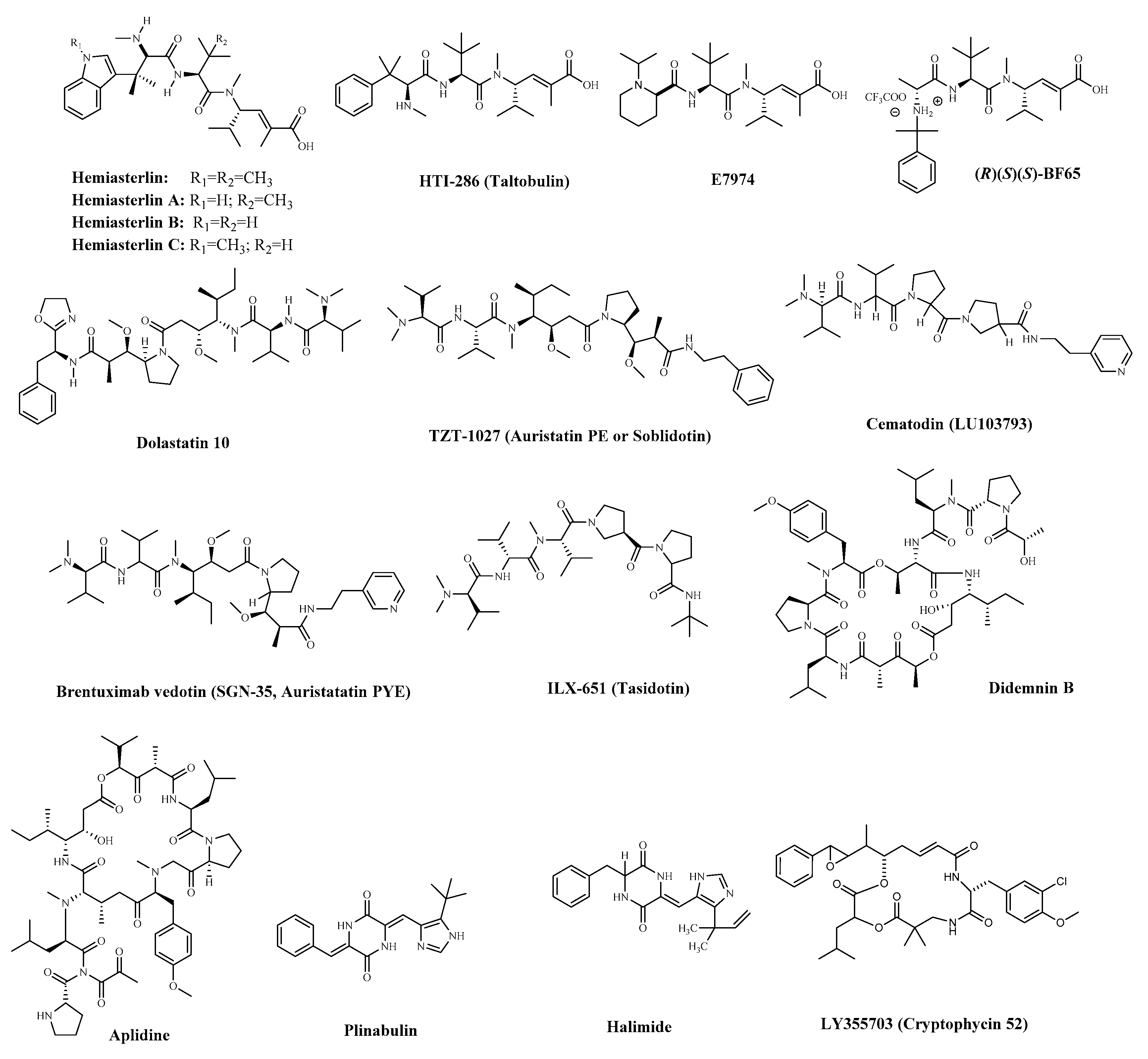 Marinedrugs 19 00115 g008 Marinedrugs 19 00115 g008