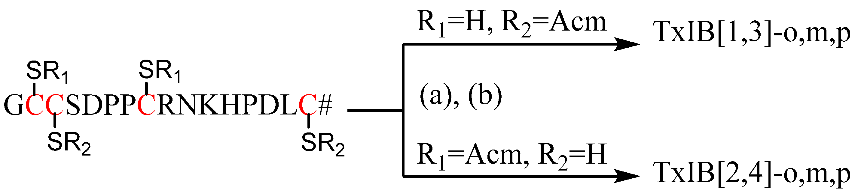 Marinedrugs 19 00119 g002 Marinedrugs 19 00119 g002