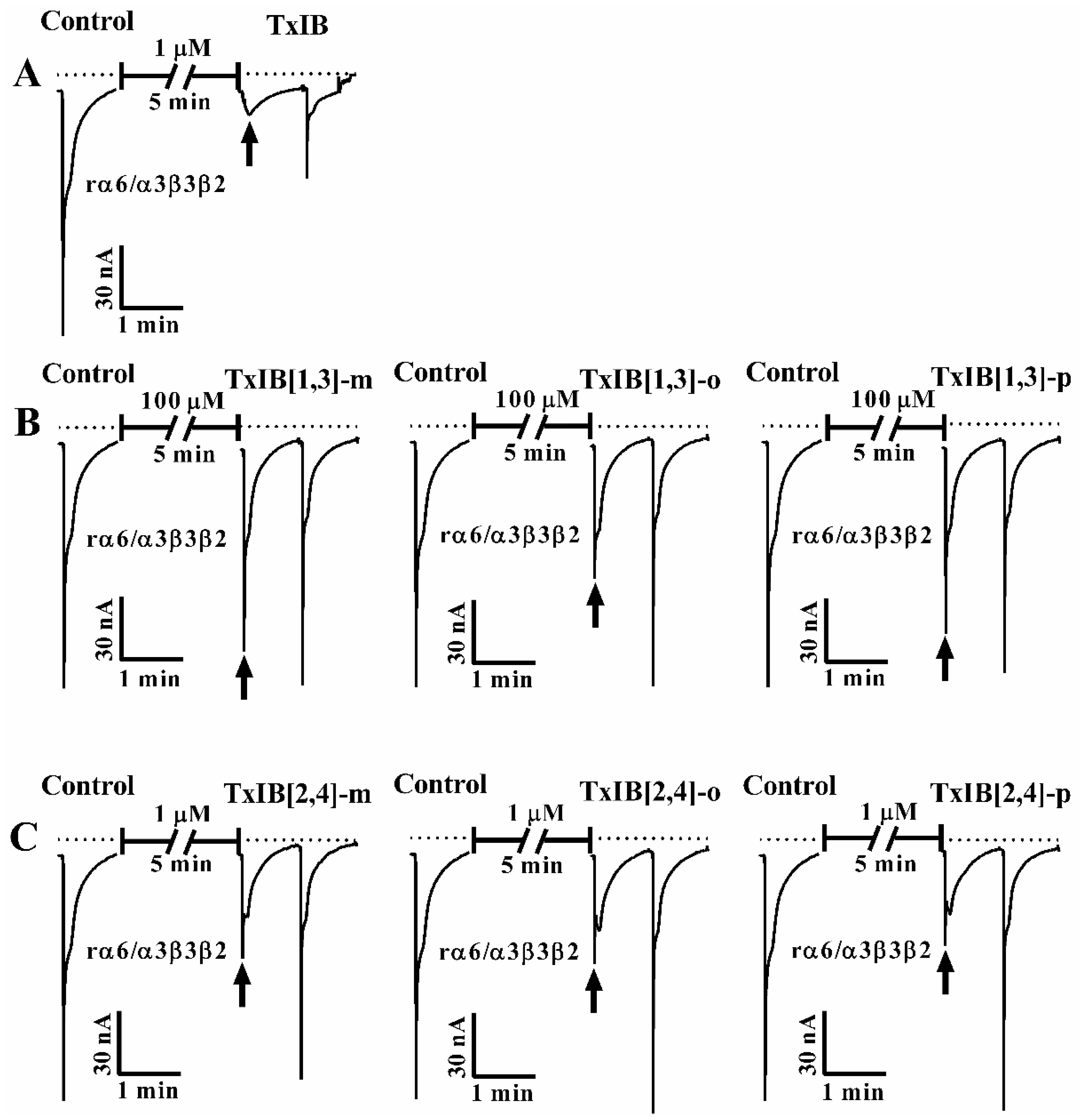Marinedrugs 19 00119 g005 Marinedrugs 19 00119 g005