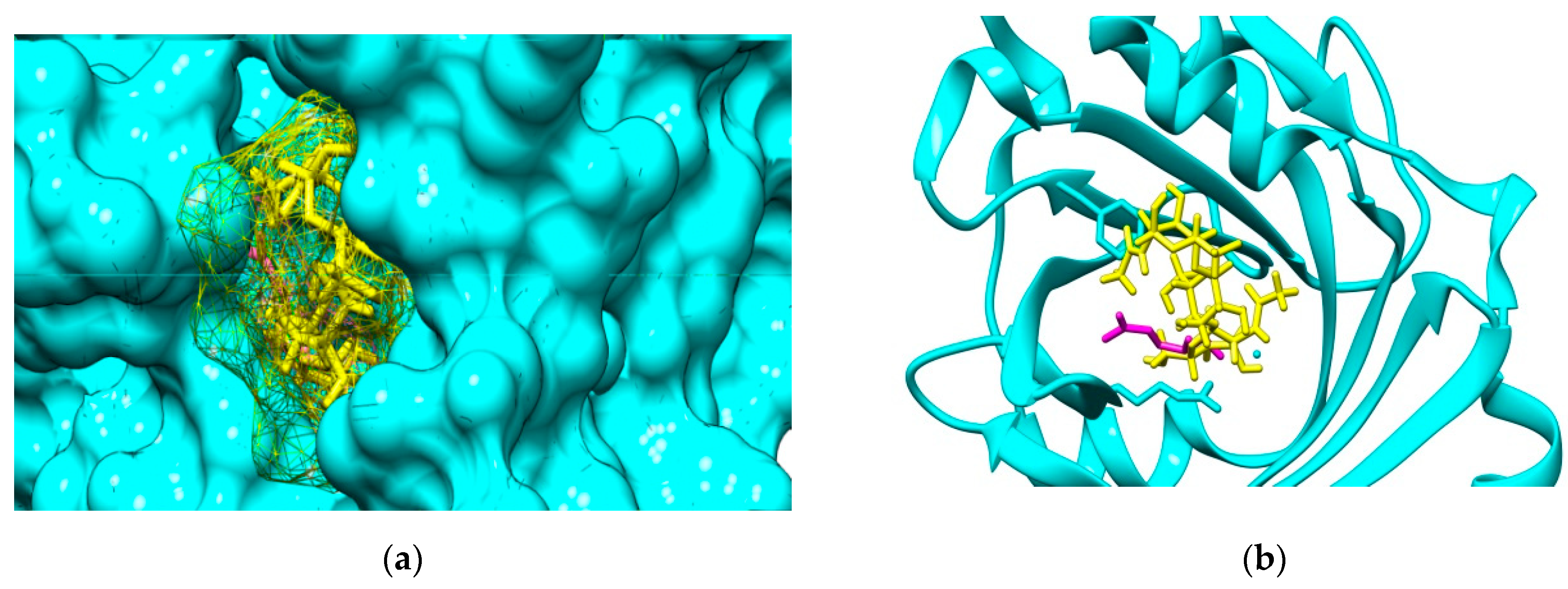 Marinedrugs 19 00120 g003