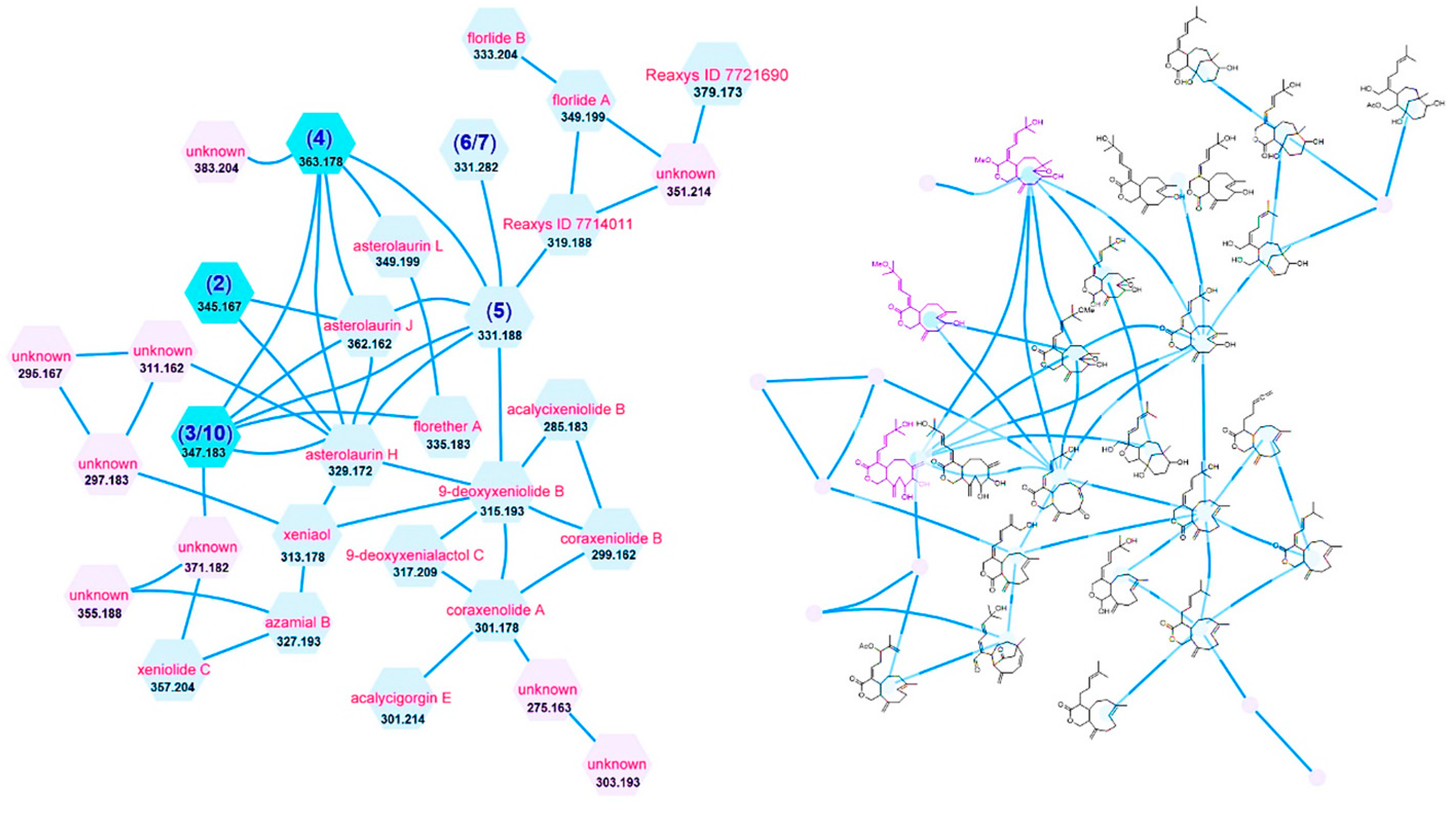 Marinedrugs 19 00123 g001 Marinedrugs 19 00123 g001