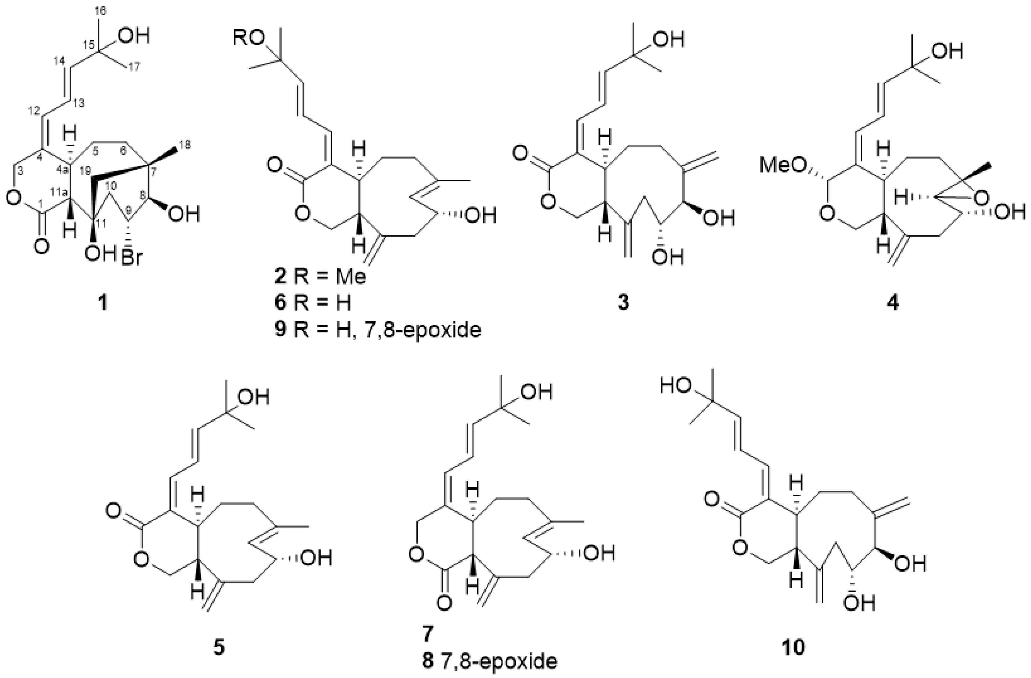 Marinedrugs 19 00123 g002 Marinedrugs 19 00123 g002