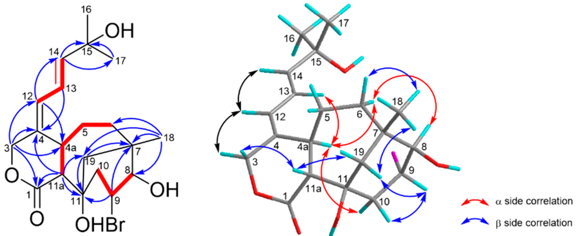 Marinedrugs 19 00123 g003 Marinedrugs 19 00123 g003