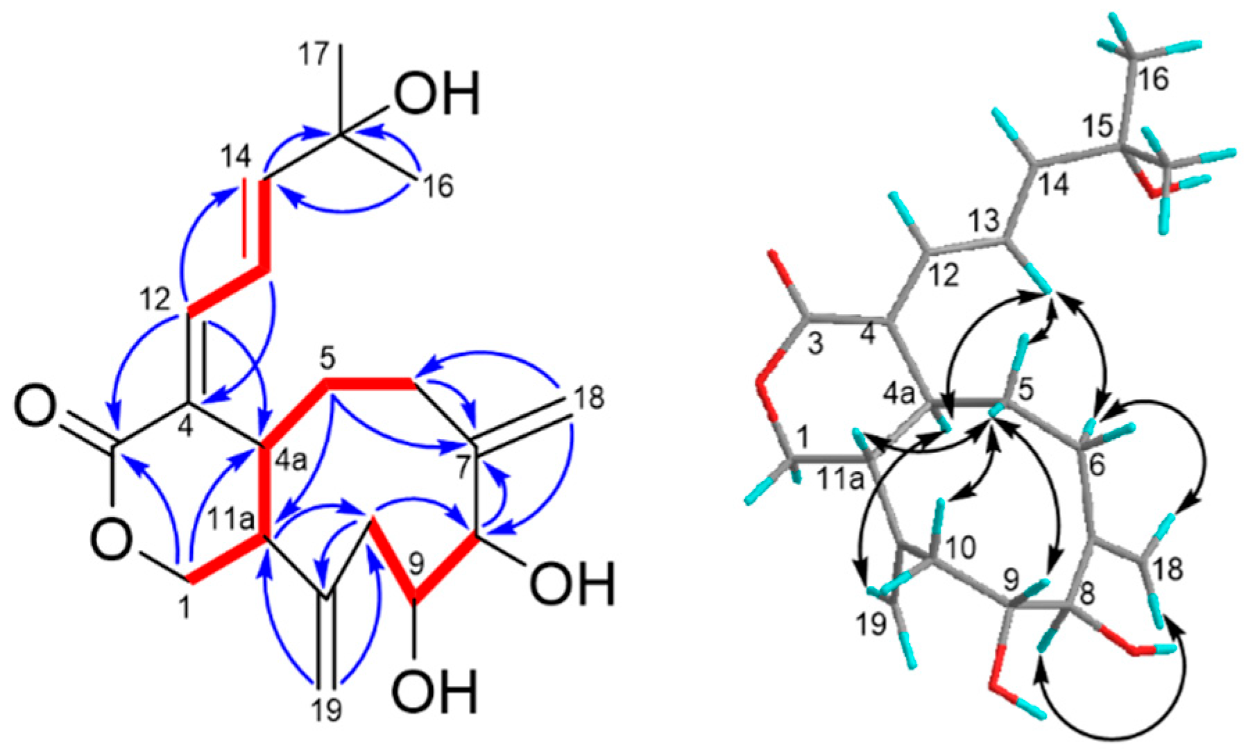 Marinedrugs 19 00123 g005 Marinedrugs 19 00123 g005