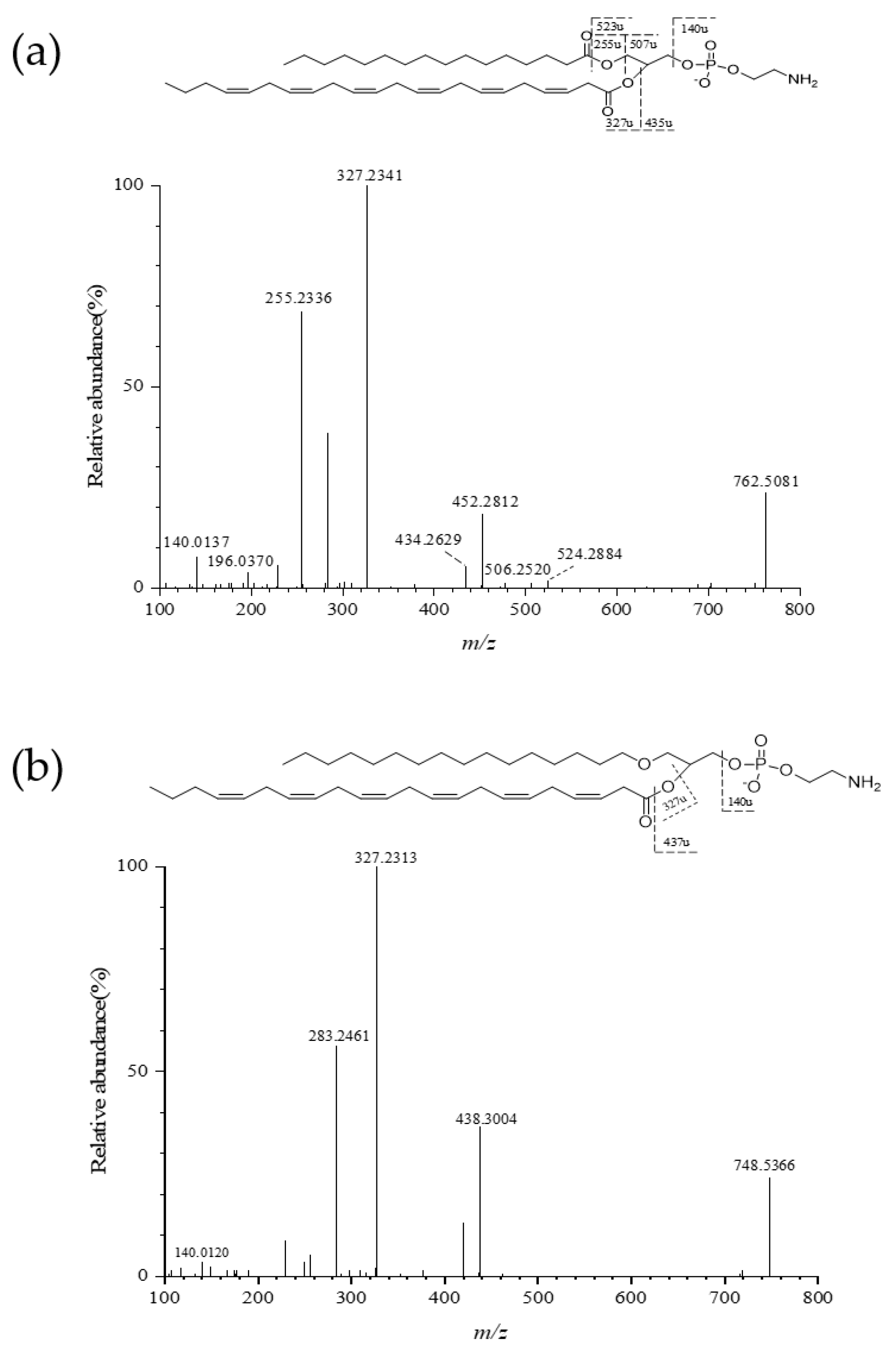 Marinedrugs 19 00124 g002 Marinedrugs 19 00124 g002