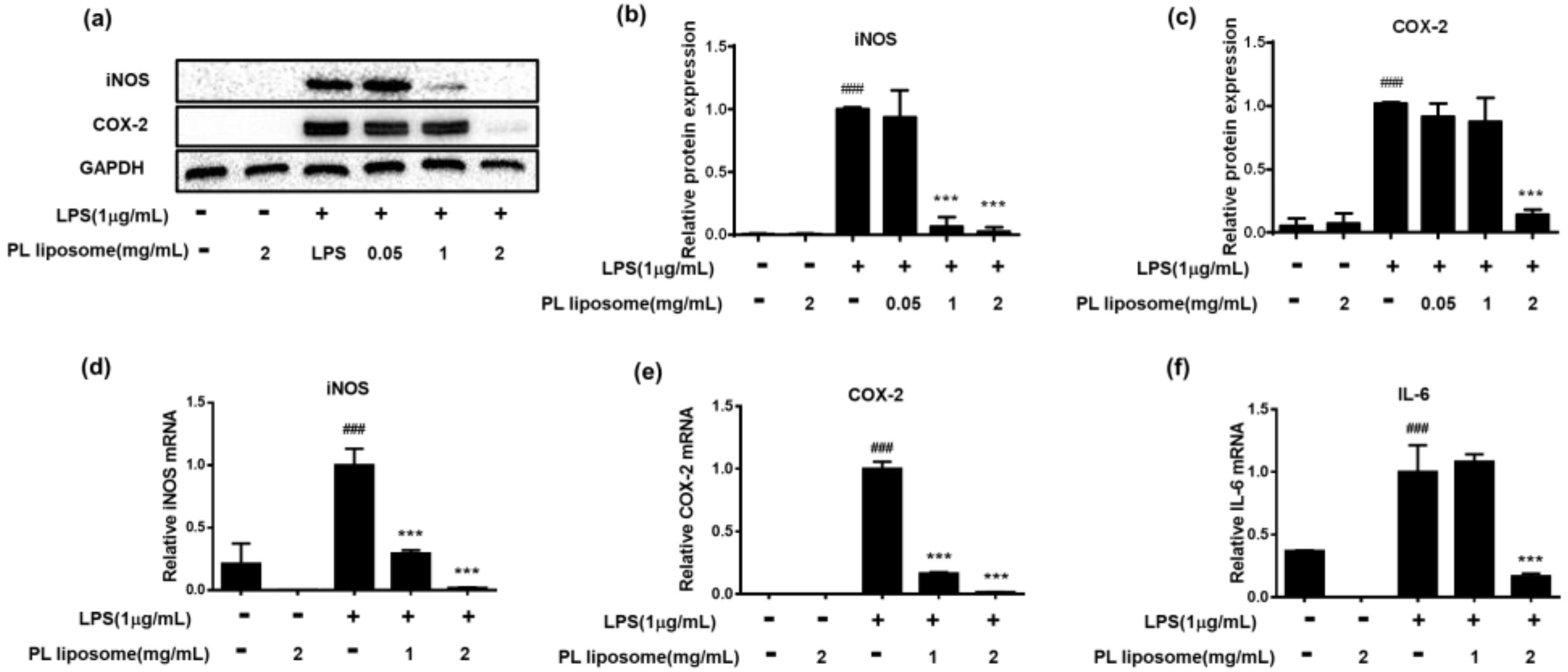 Marinedrugs 19 00124 g004 Marinedrugs 19 00124 g004