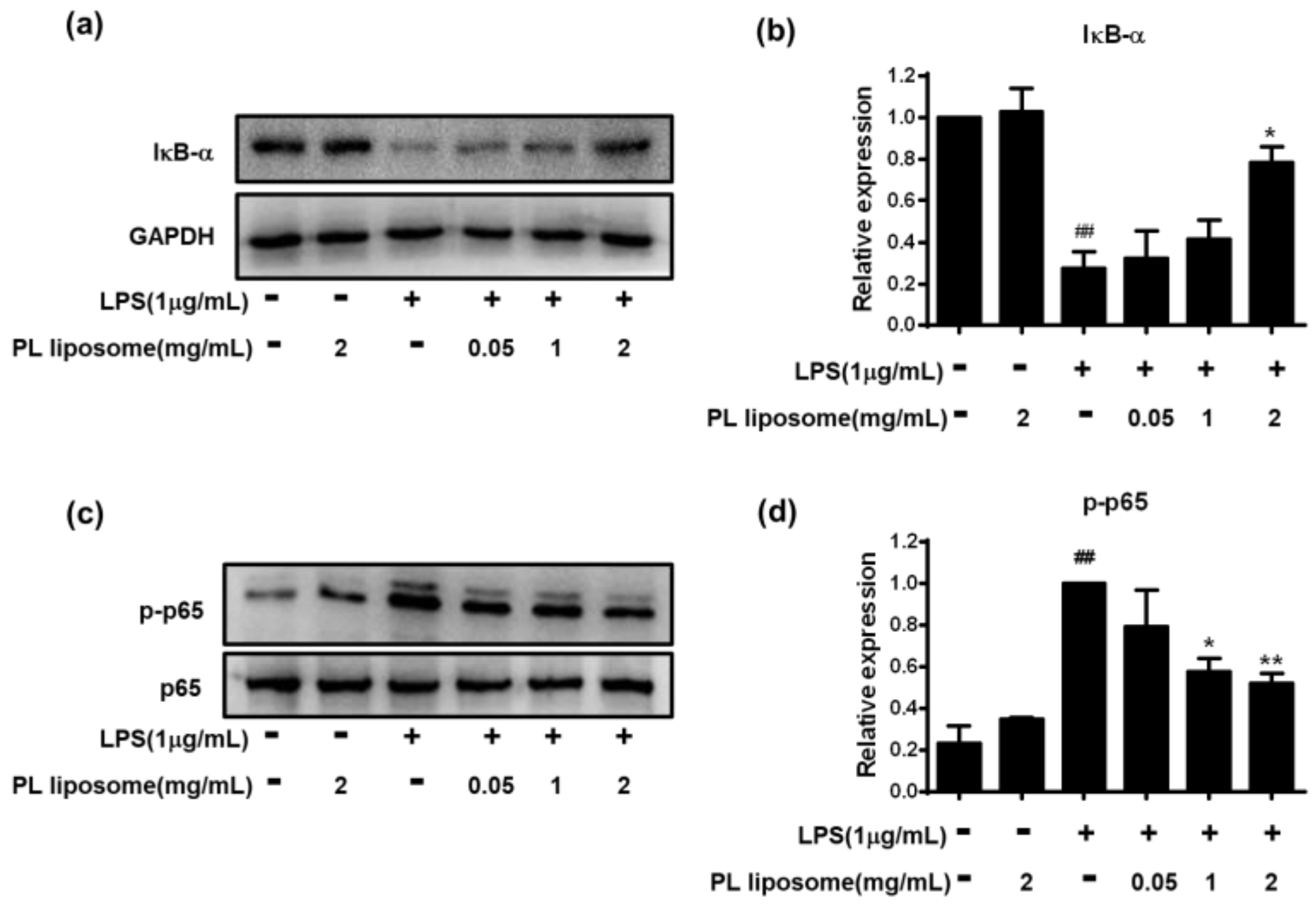 Marinedrugs 19 00124 g005 Marinedrugs 19 00124 g005