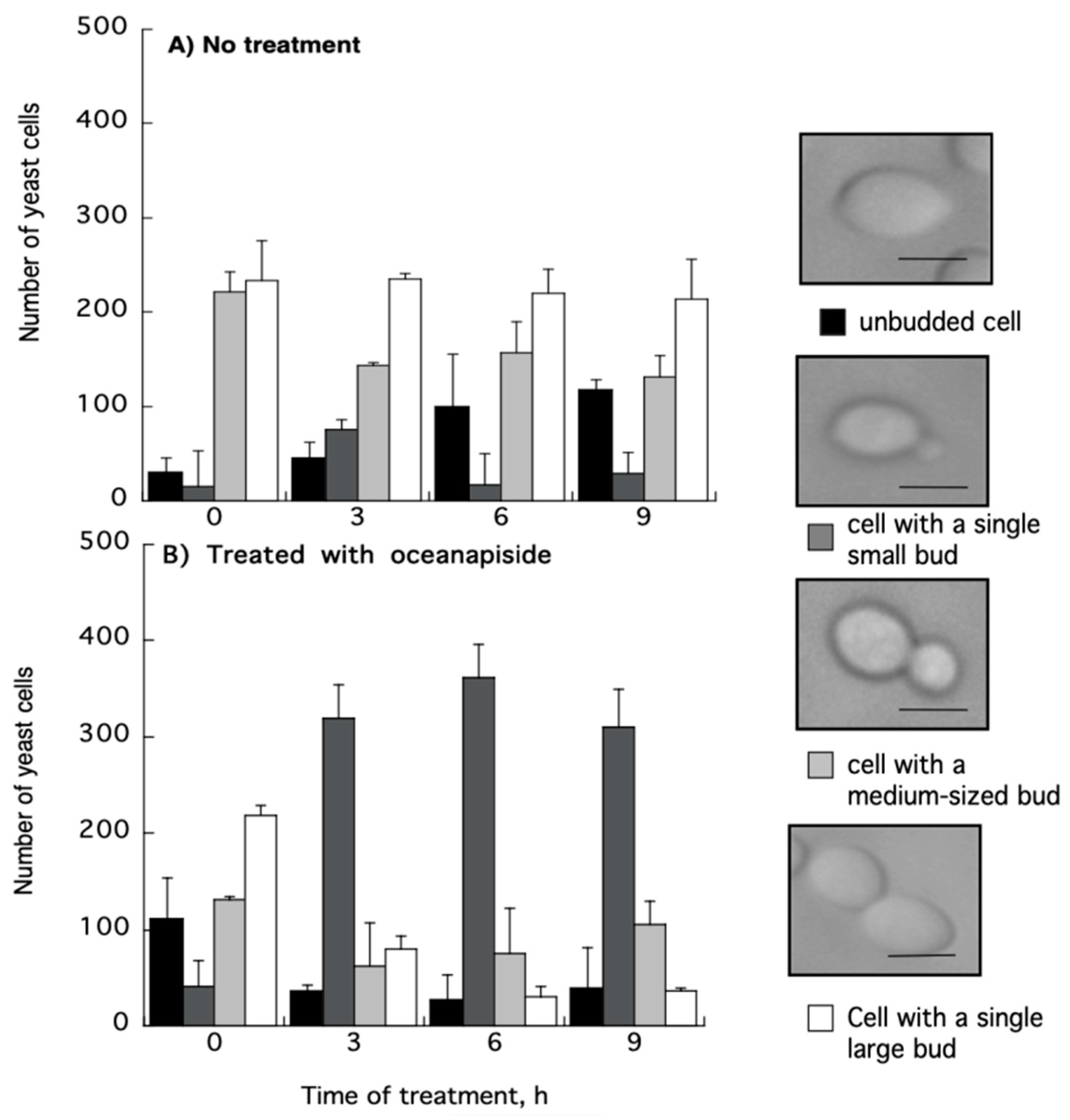 Marinedrugs 19 00126 g005 Marinedrugs 19 00126 g005