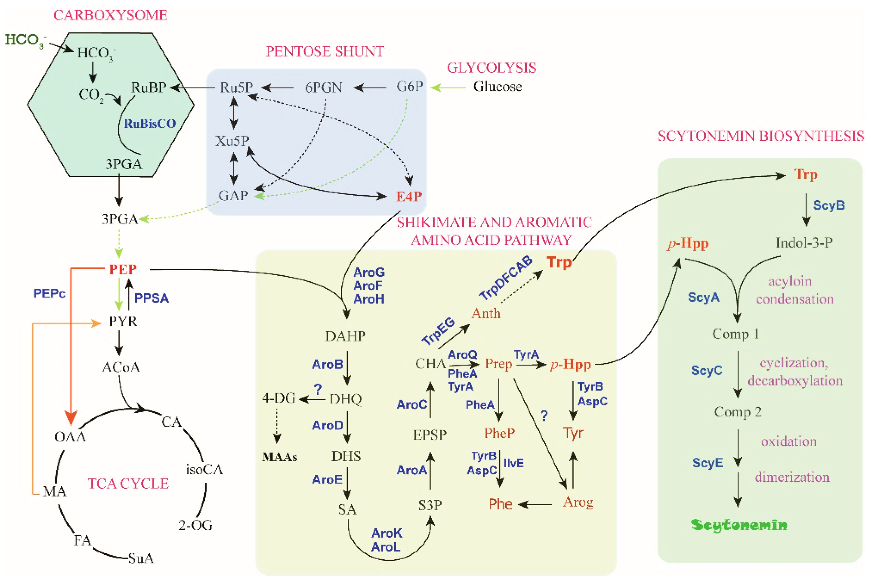 Marinedrugs 19 00129 g005