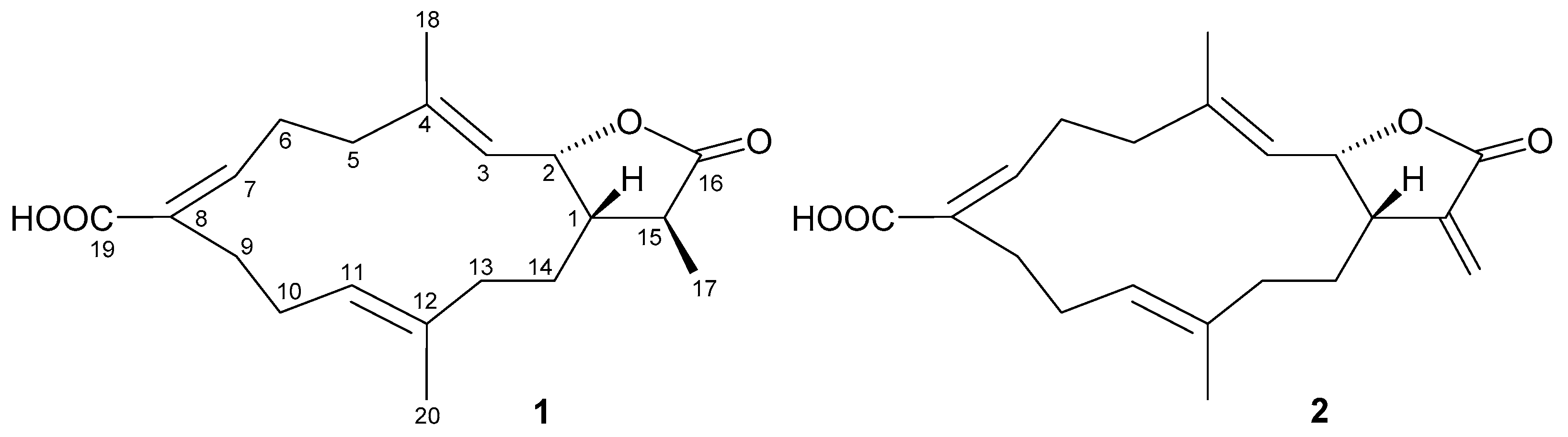 Marinedrugs 19 00130 g001 Marinedrugs 19 00130 g001