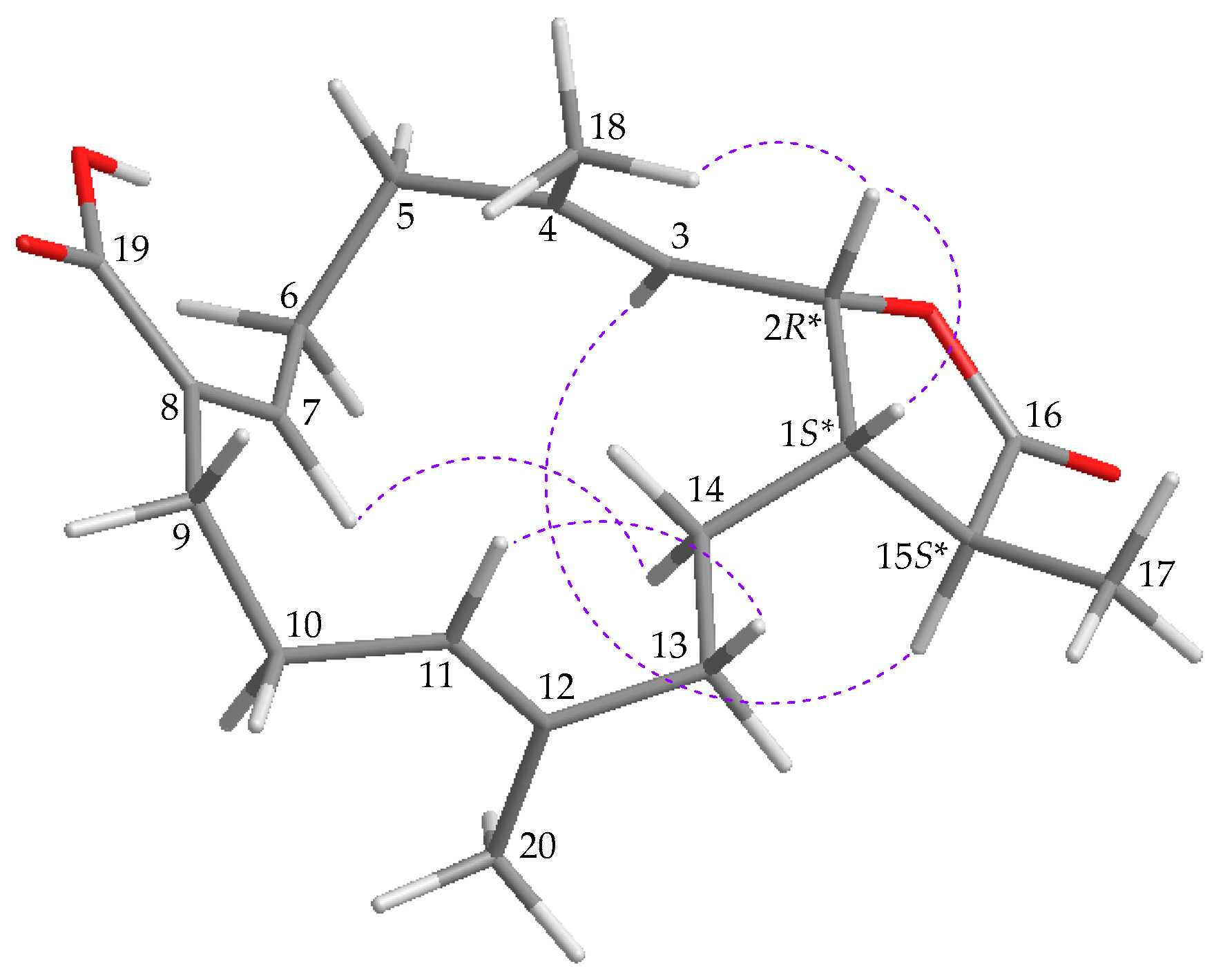 Marinedrugs 19 00130 g003 Marinedrugs 19 00130 g003