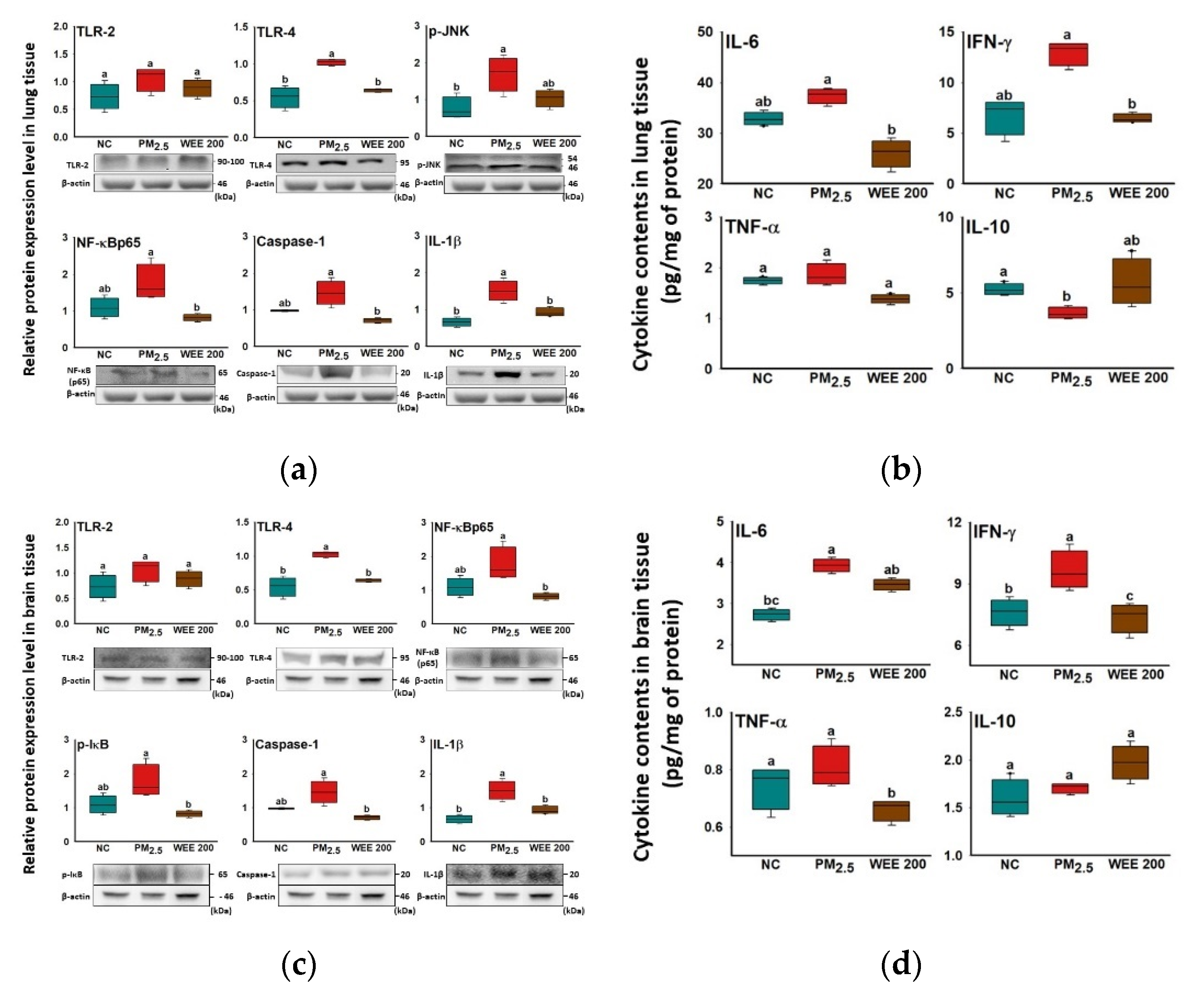 Marinedrugs 19 00131 g002 Marinedrugs 19 00131 g002