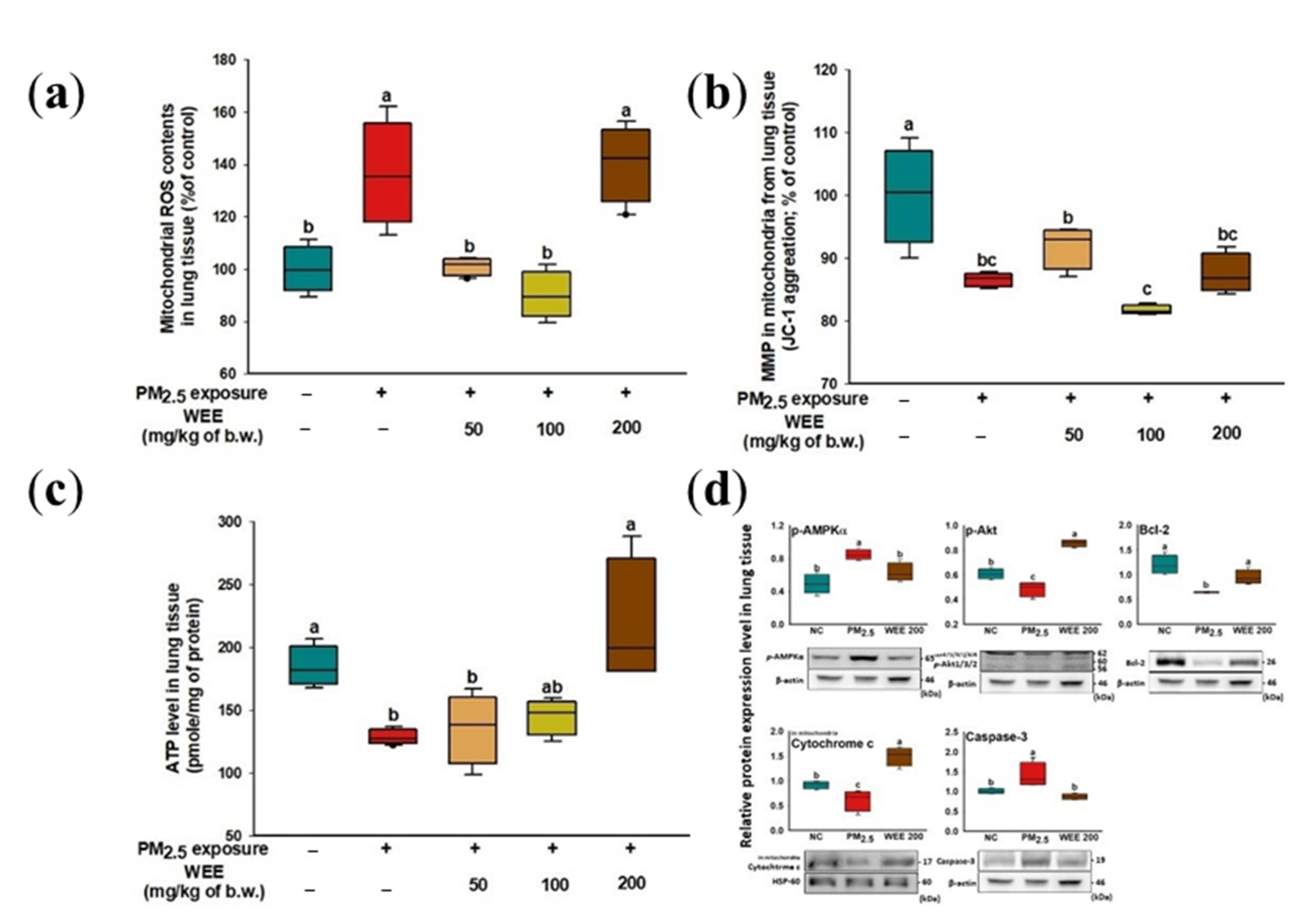 Marinedrugs 19 00131 g004 Marinedrugs 19 00131 g004