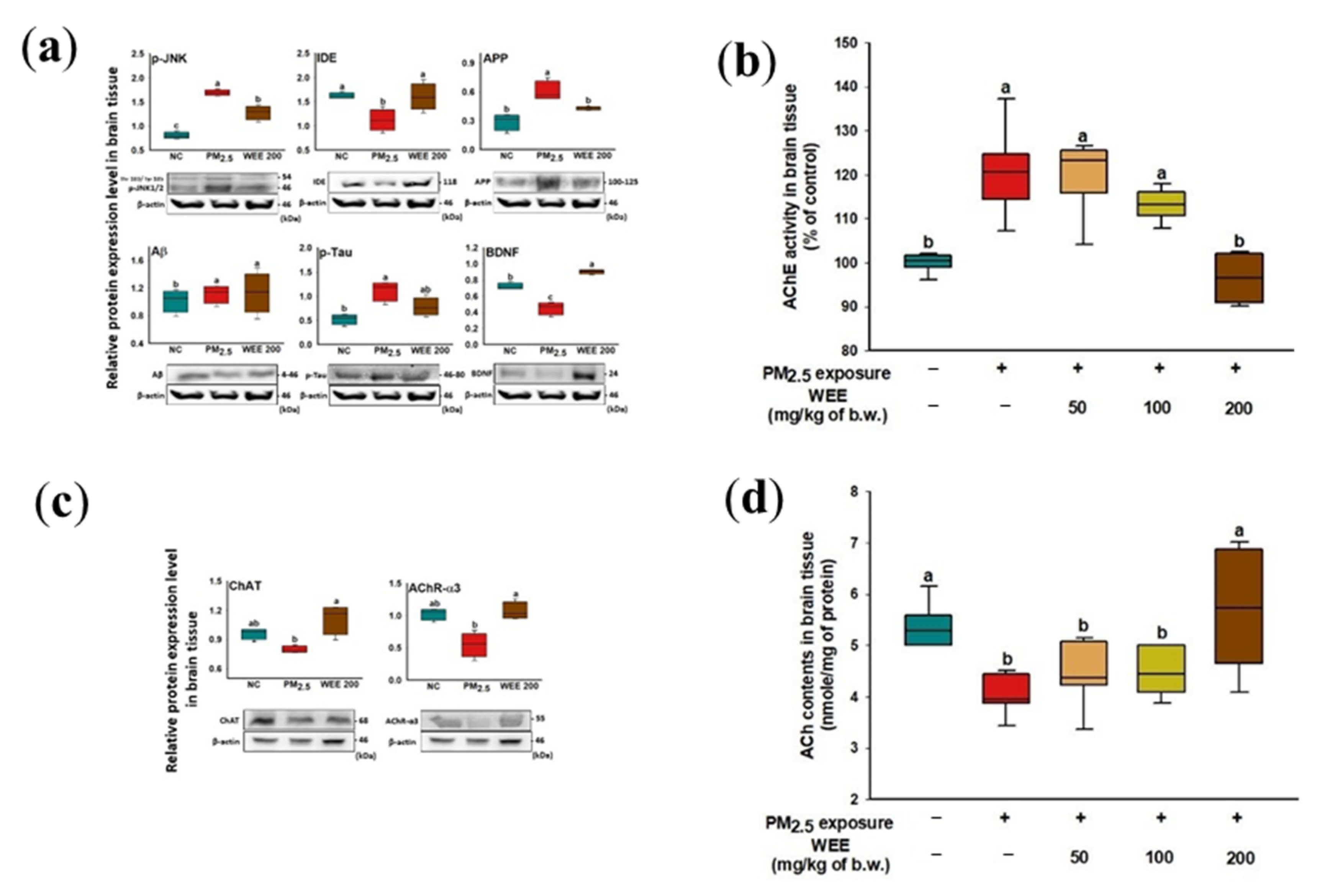 Marinedrugs 19 00131 g006 Marinedrugs 19 00131 g006