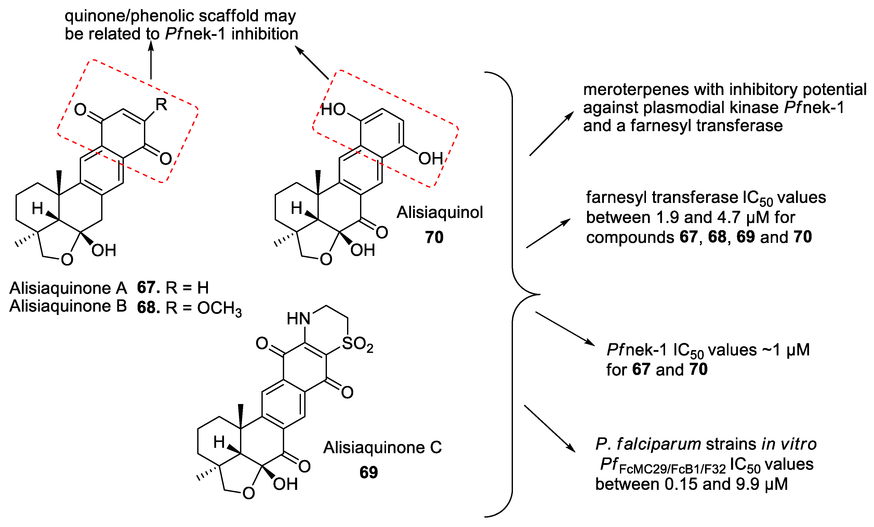 Marinedrugs 19 00134 g005