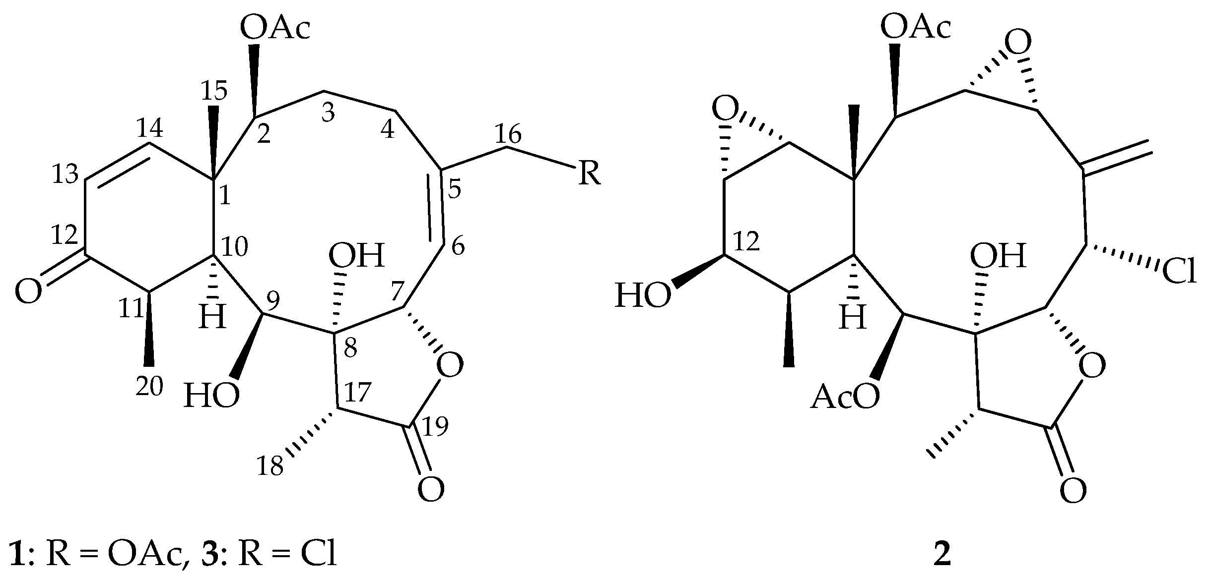 Marinedrugs 19 00136 g001