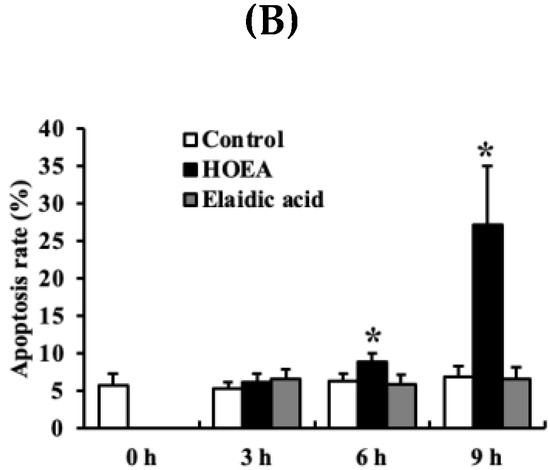 ｊｄ Induction of Apoptotic Cell Death in Human Leukemia U937