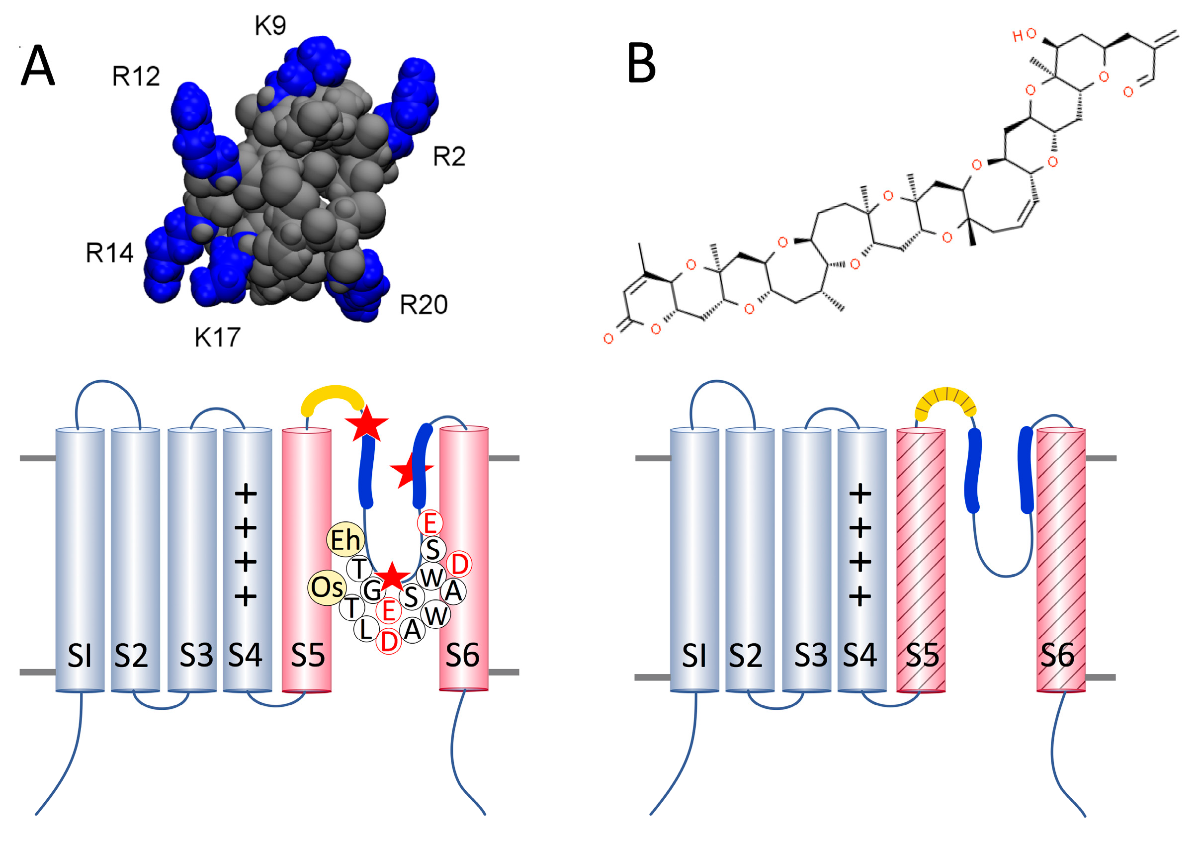 Marinedrugs 19 00140 g001