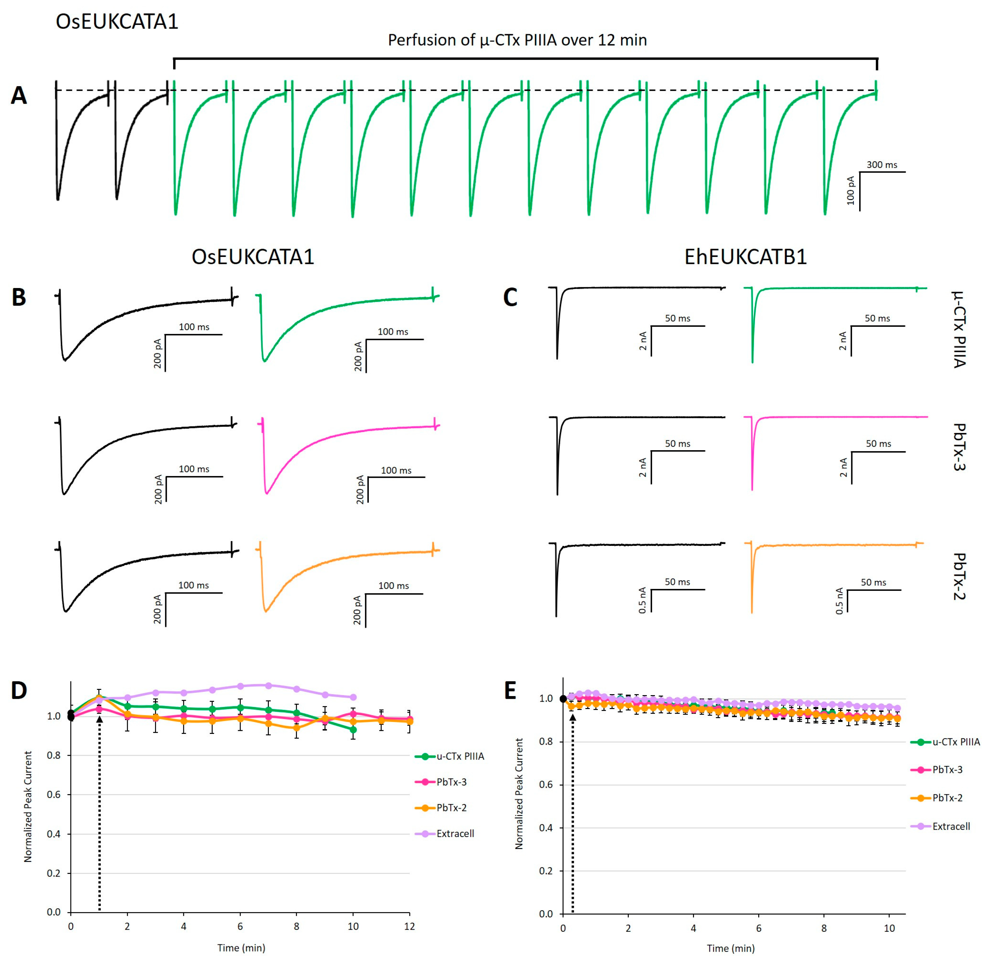 Marinedrugs 19 00140 g002