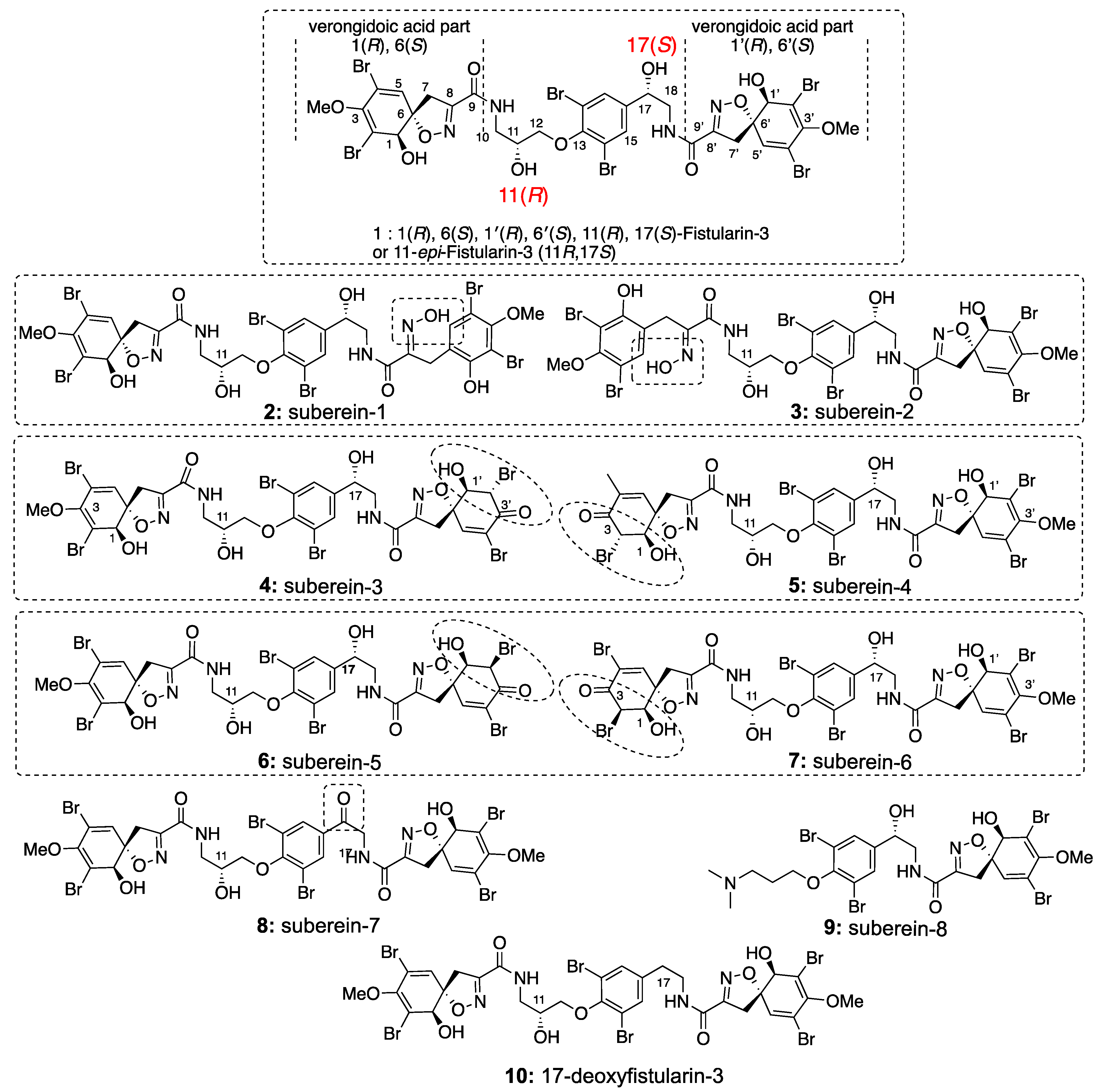 Marinedrugs 19 00143 g001